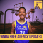 WNBA Free Agency Frenzy image