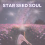 Finding Connection to Your Star Seed Soul image