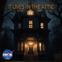It lives in the Attic  image