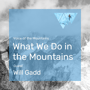 Voice of the Mountains: What We Do in the Mountains with guest Will Gadd image