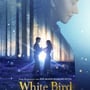 Magie & Melancholie: WHITE BIRD in der Filmreview image