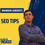 SEO or Social Media for Business Growth? Advice from Brandon Leibowitz image