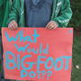 Bigfoot  image
