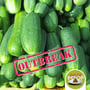 The Cucumber Salmonella Major Outbreak | Episode 68 image