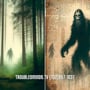 Bigfoot Hibernation Cycles - Cryptids Crashing the Zeitgeist image
