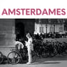 AmsterDames: Inspiring Women in the Netherlands ... An English Feminist Podcast in Amsterdam