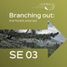 Branching out