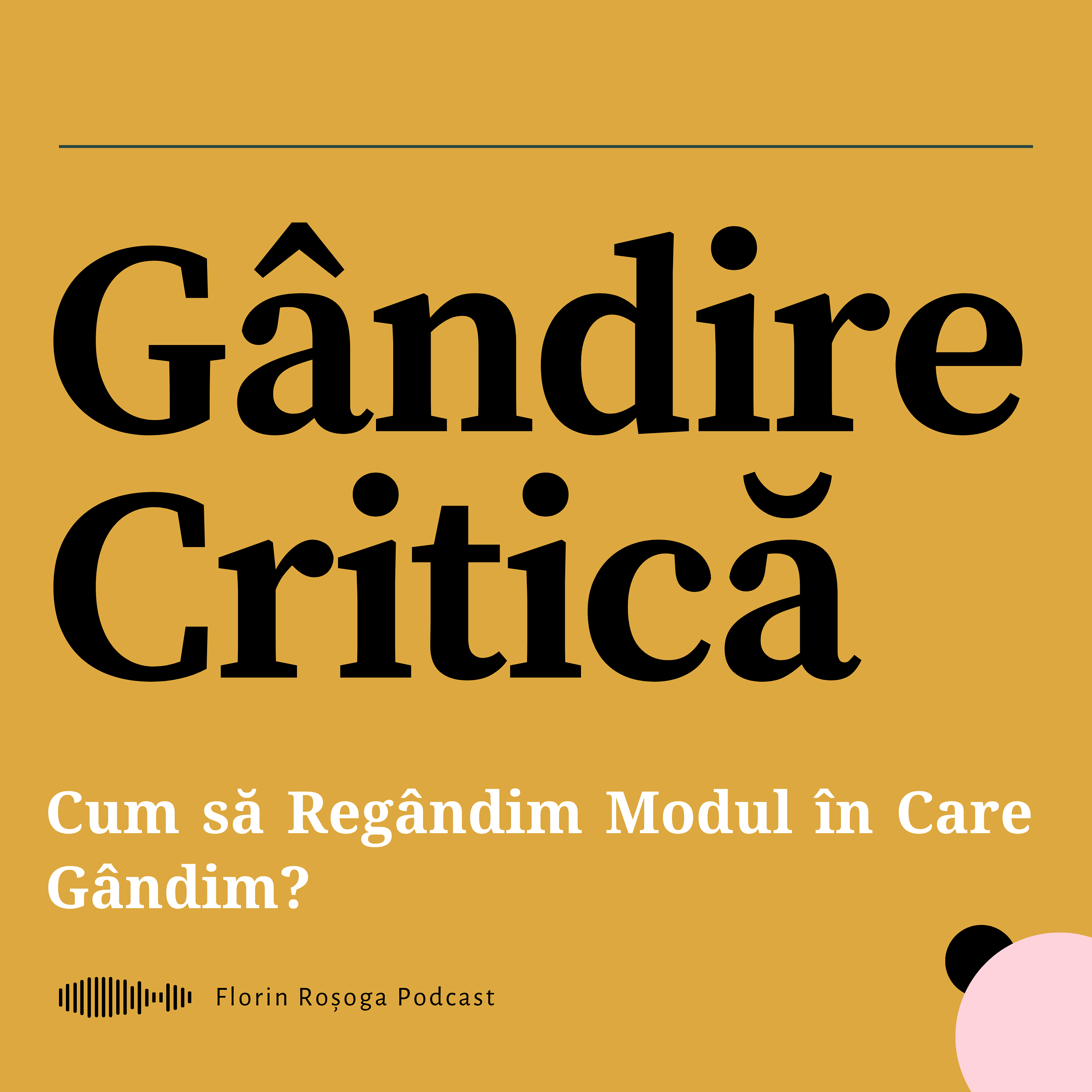 Florin Rosoga Podcast