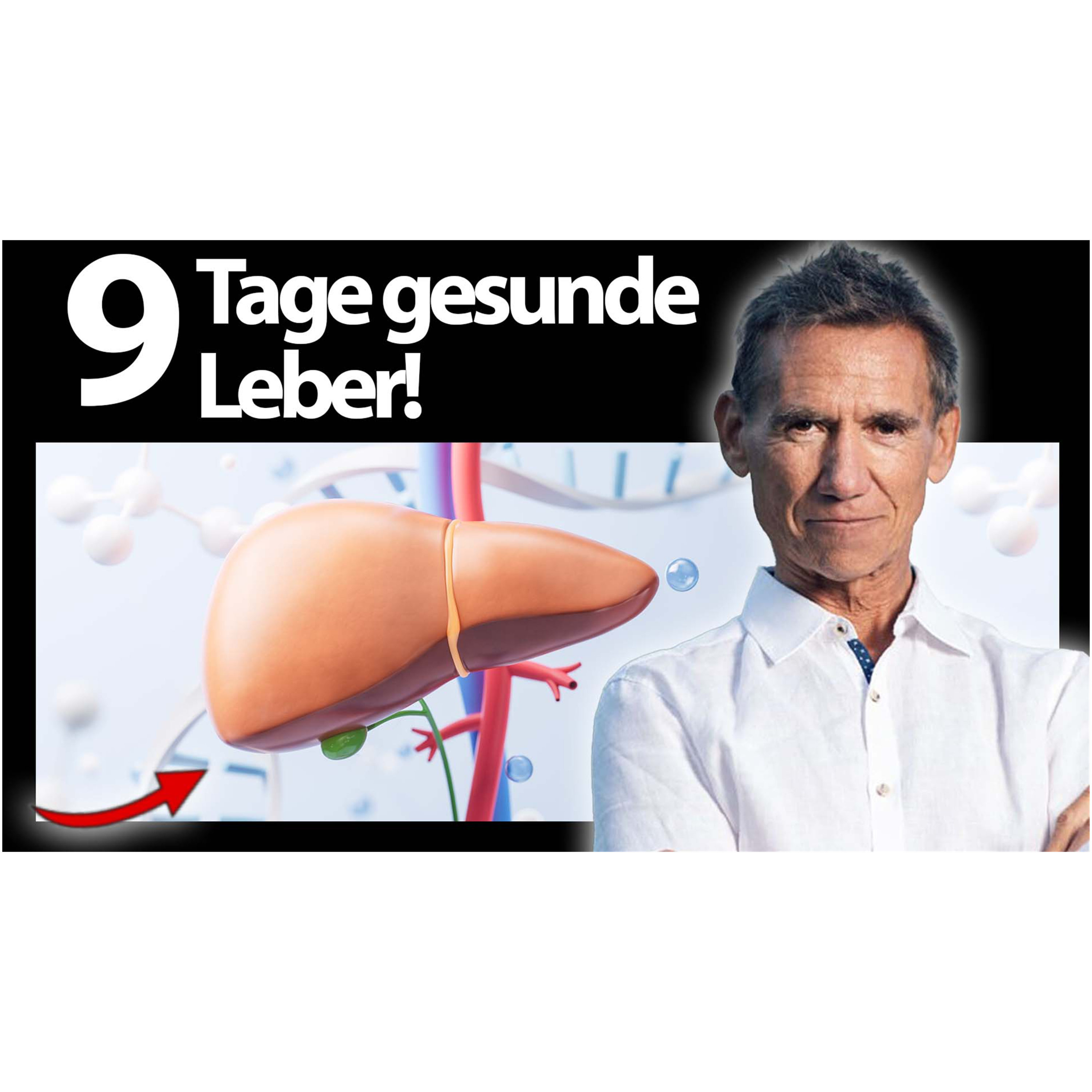 So ernähren sich Leistungssportler:innen! I Dr. Kurt Mosetter #1099 episode artwork
