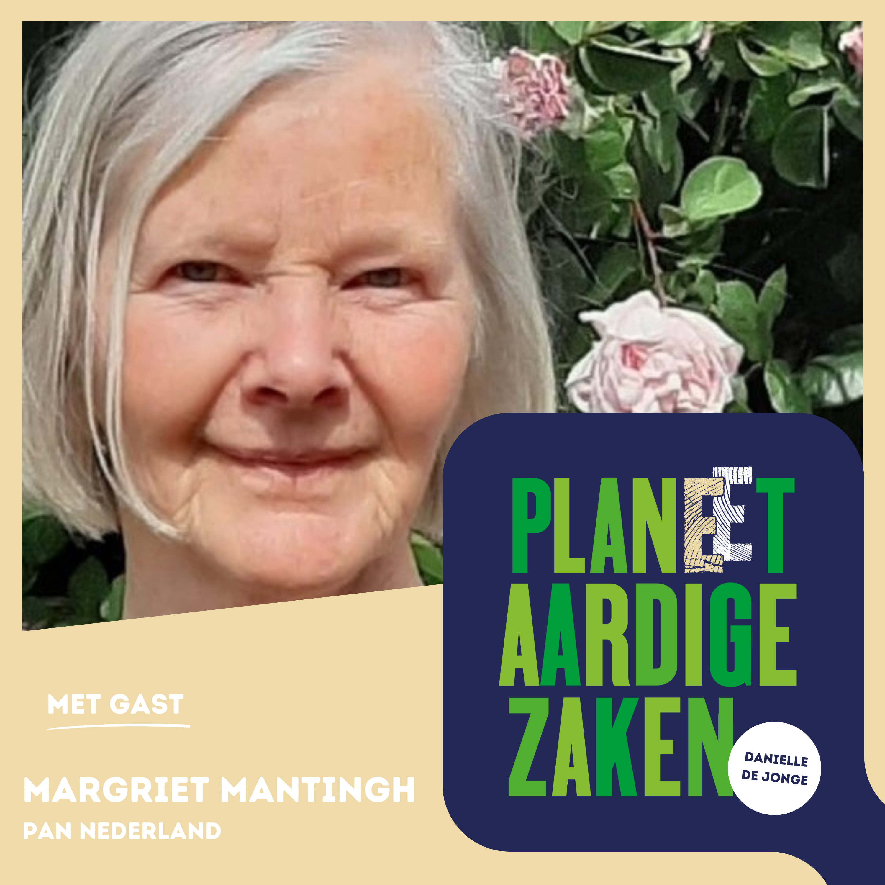 Planeetaardige zaken