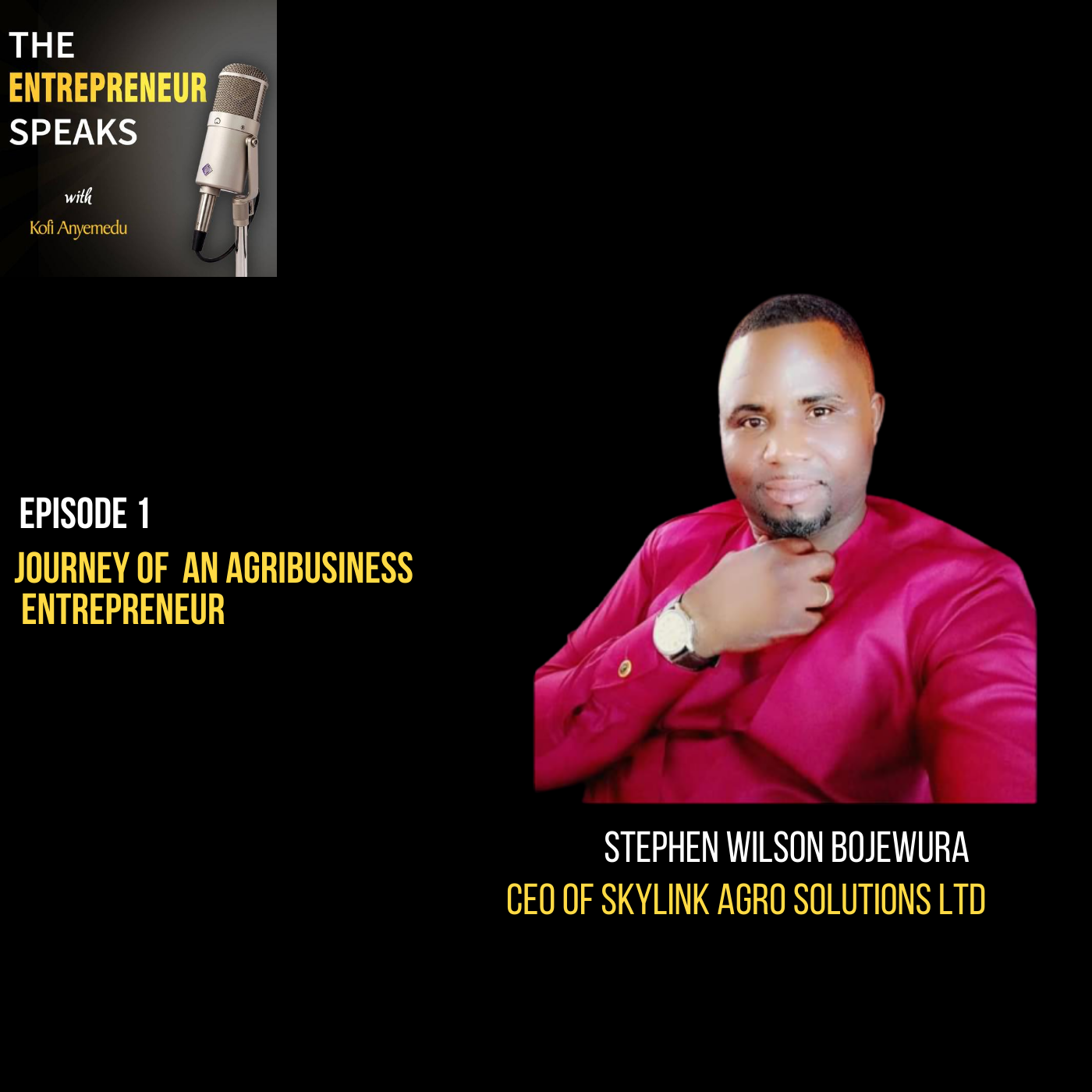 The Entrepreneur Speaks Podcast