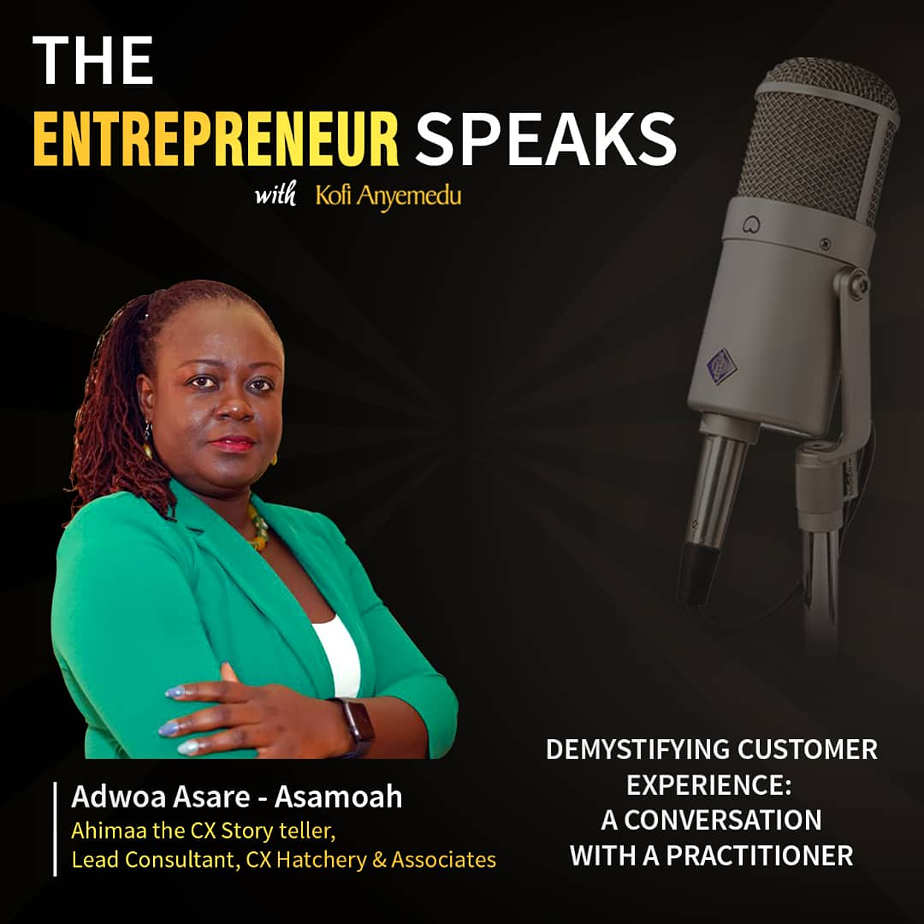 The Entrepreneur Speaks Podcast