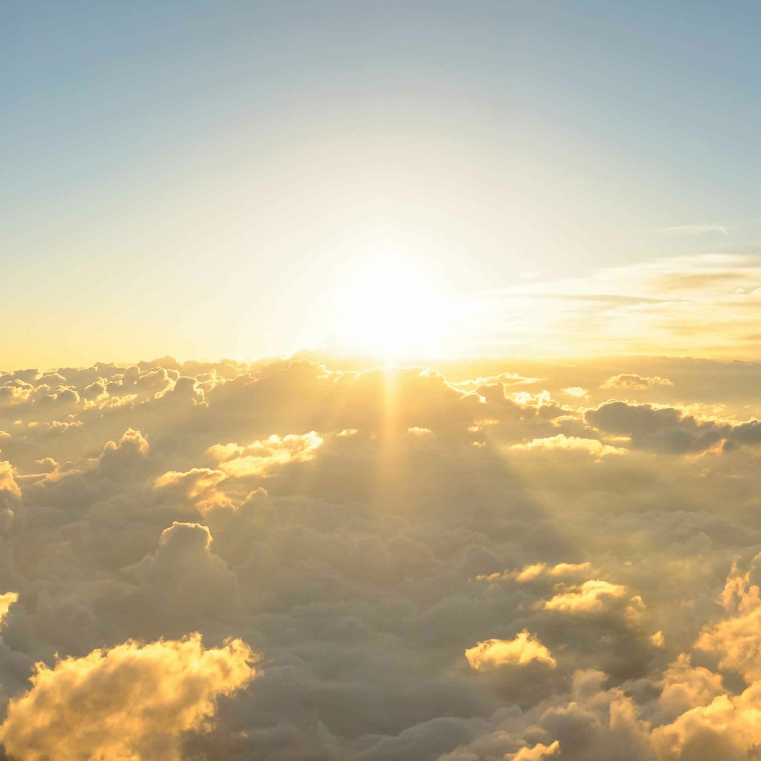 FLI Podcast: Existential Hope in 2020 and Beyond with the FLI Team