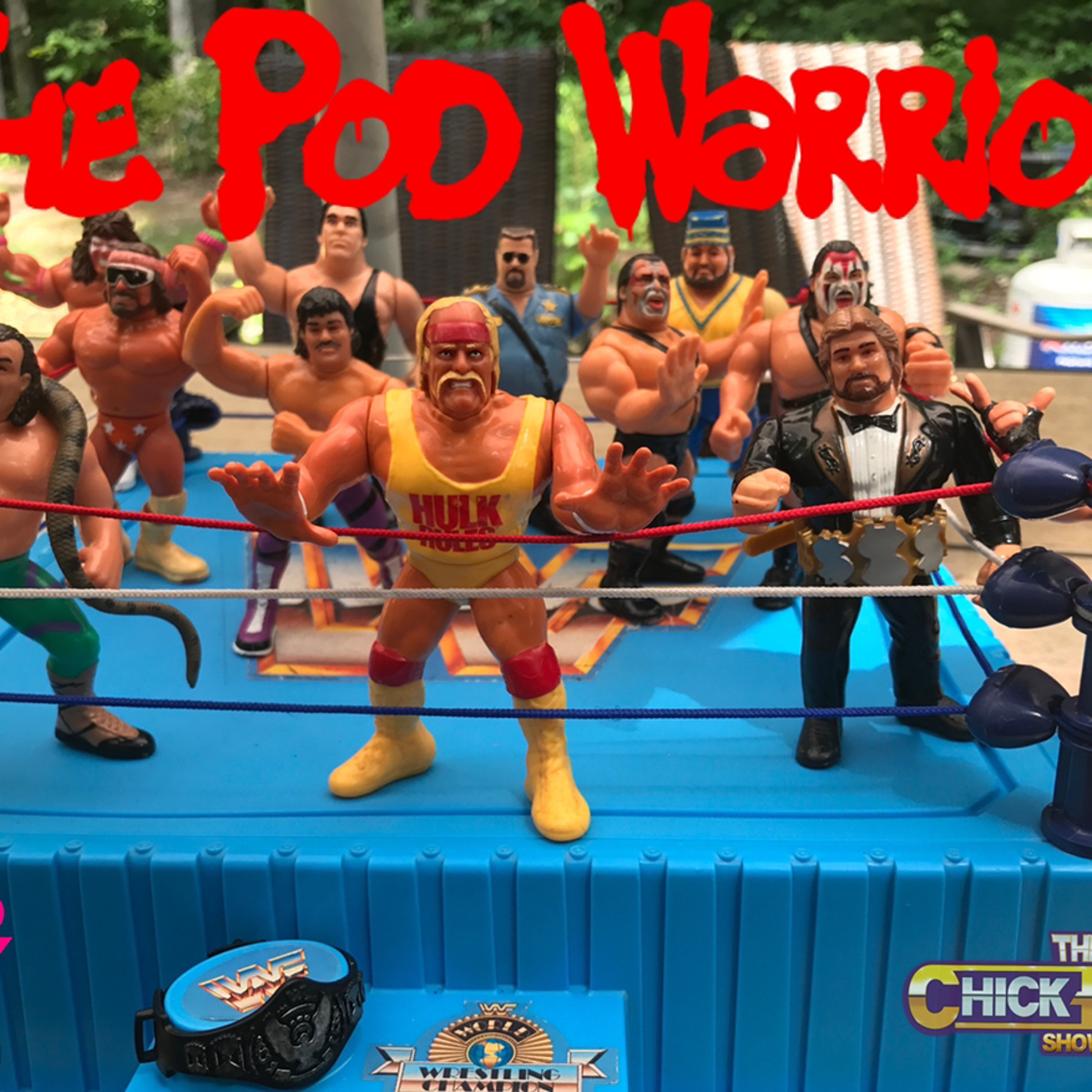 The Chick Foley Show