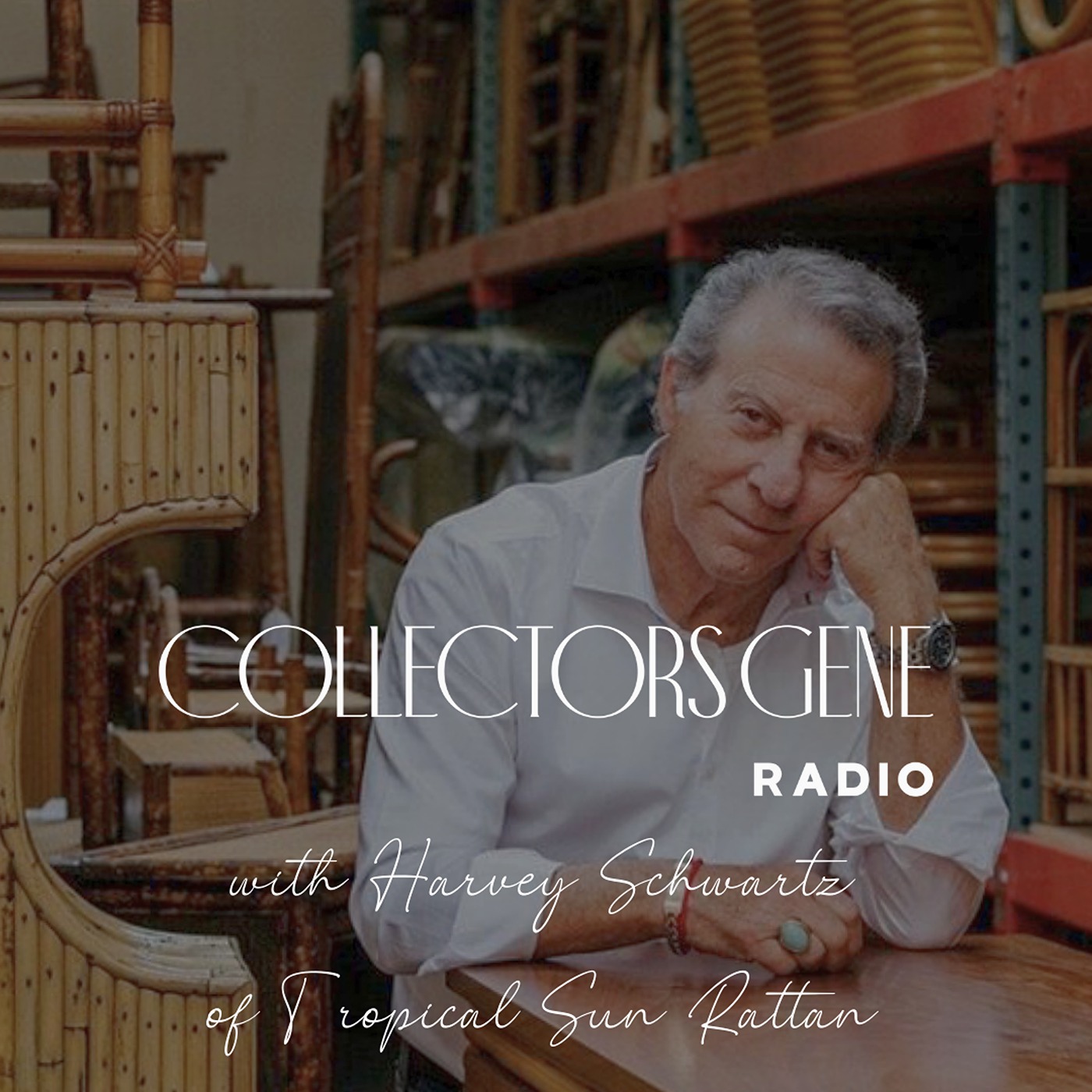 Harvey Schwartz - The Last Great Rattan Dealer - podcast episode cover