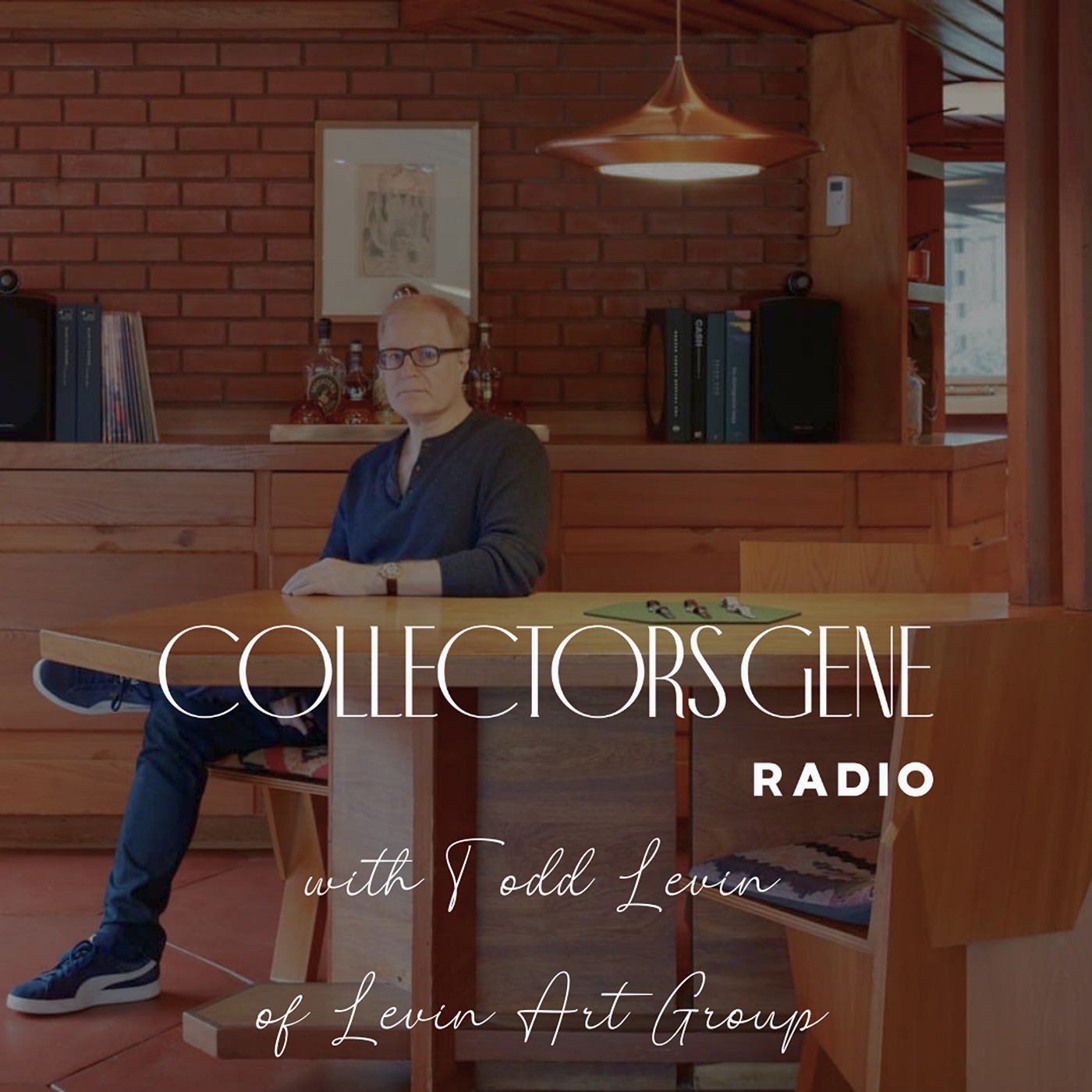 Todd Levin - The Art Curator Who Artfully Collects - podcast episode cover