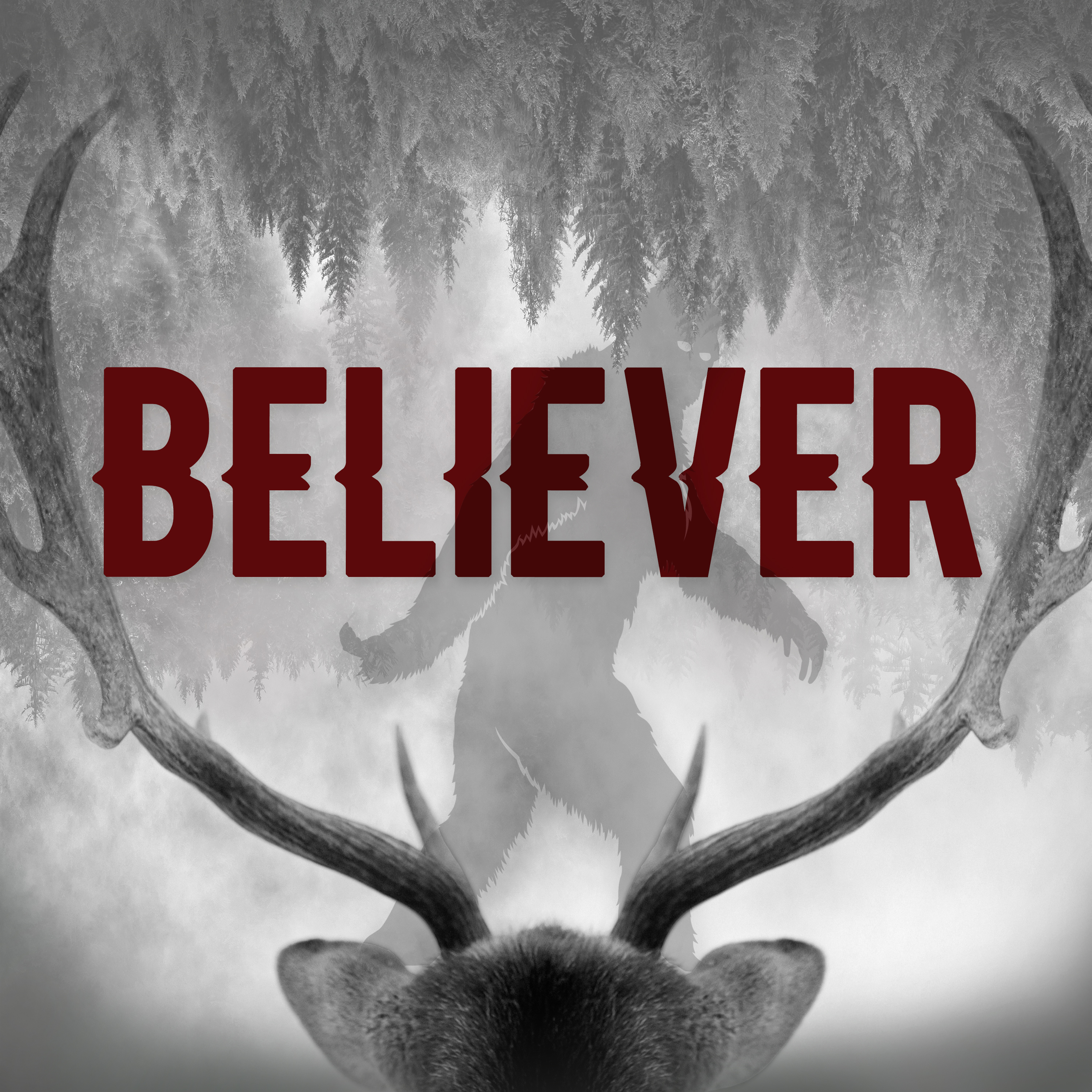 "    Believer: A Paranormal Mystery " Podcast
