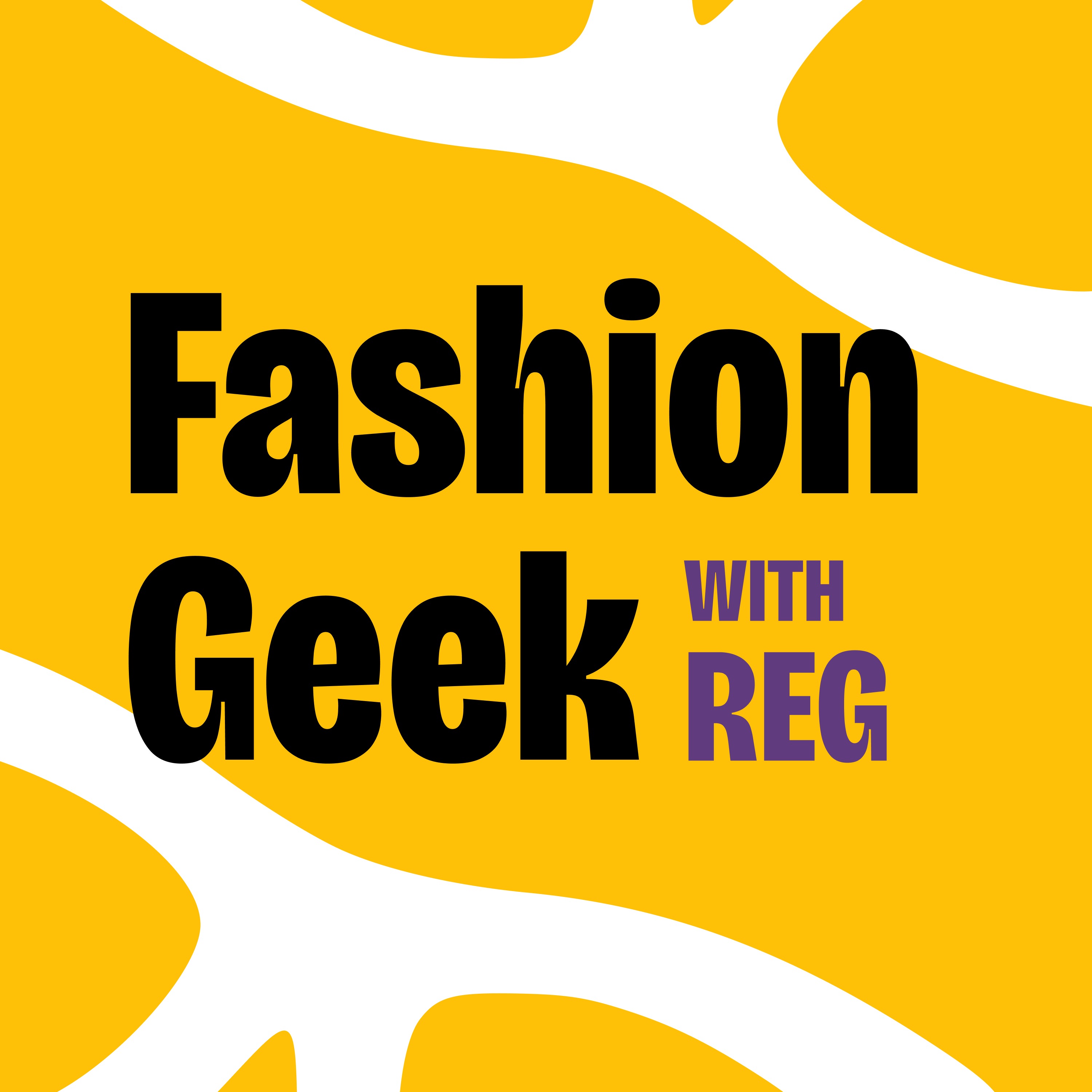 The Fashion Geek