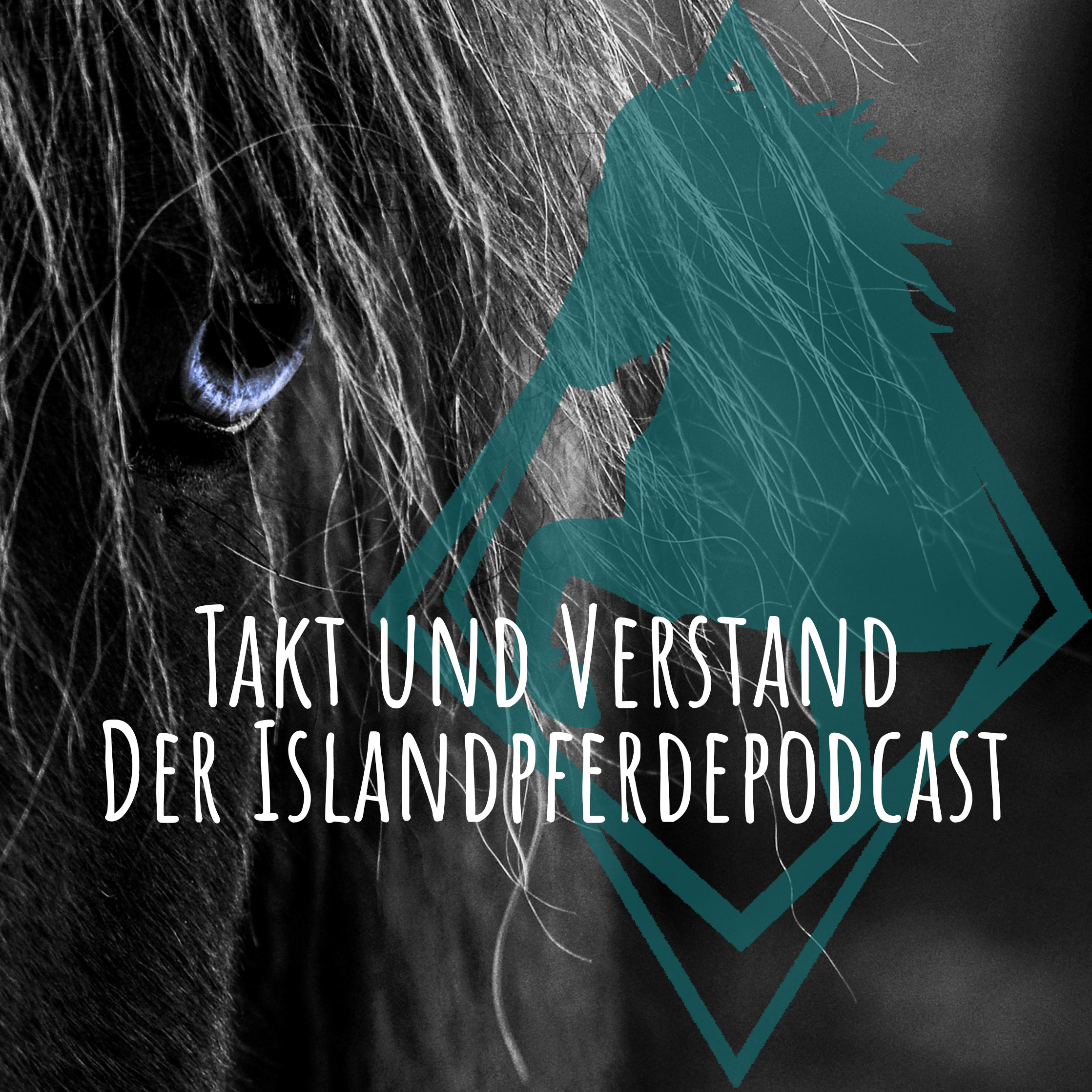 Takt und Verstand - der Islandpferde Podcast