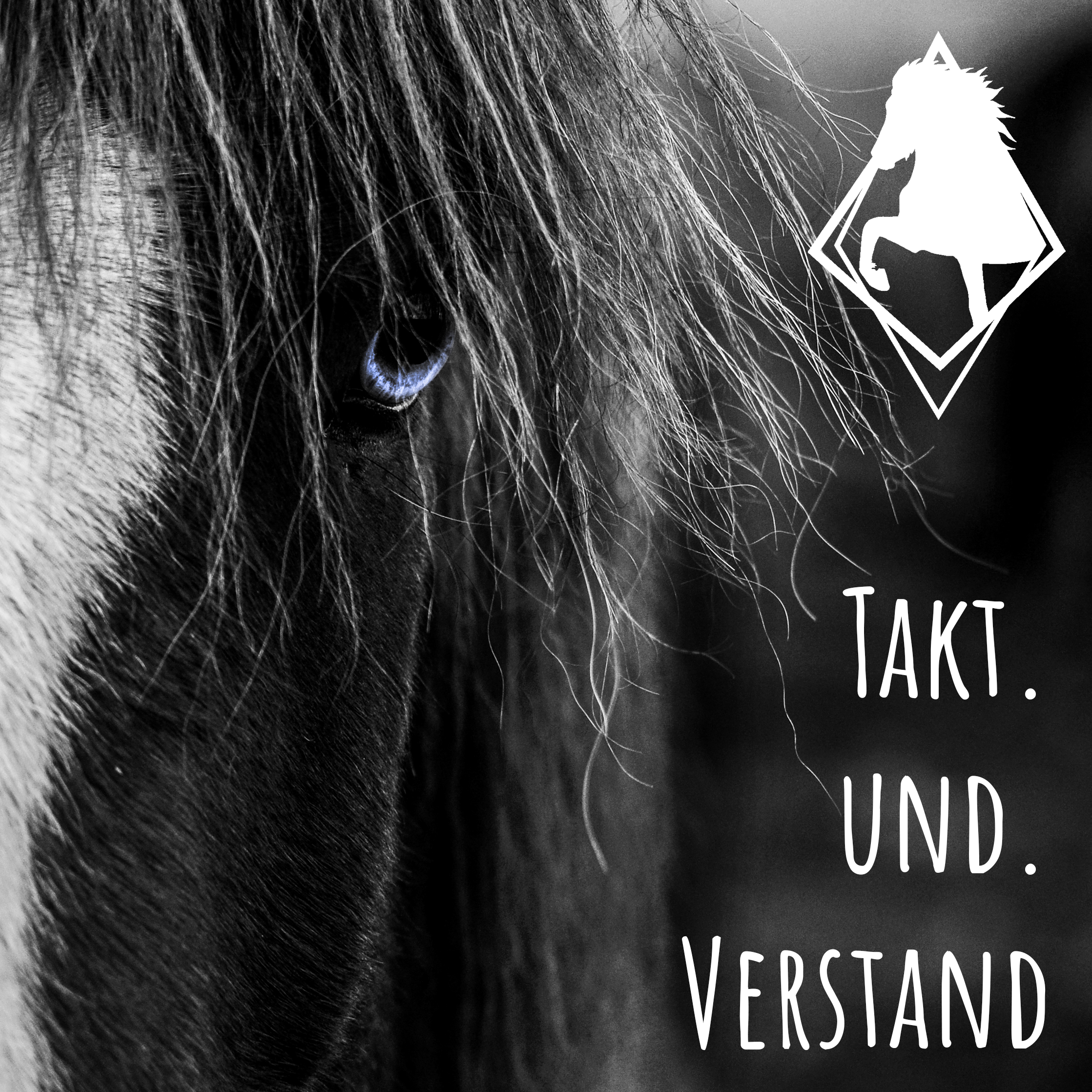 Takt und Verstand - der Islandpferde Podcast