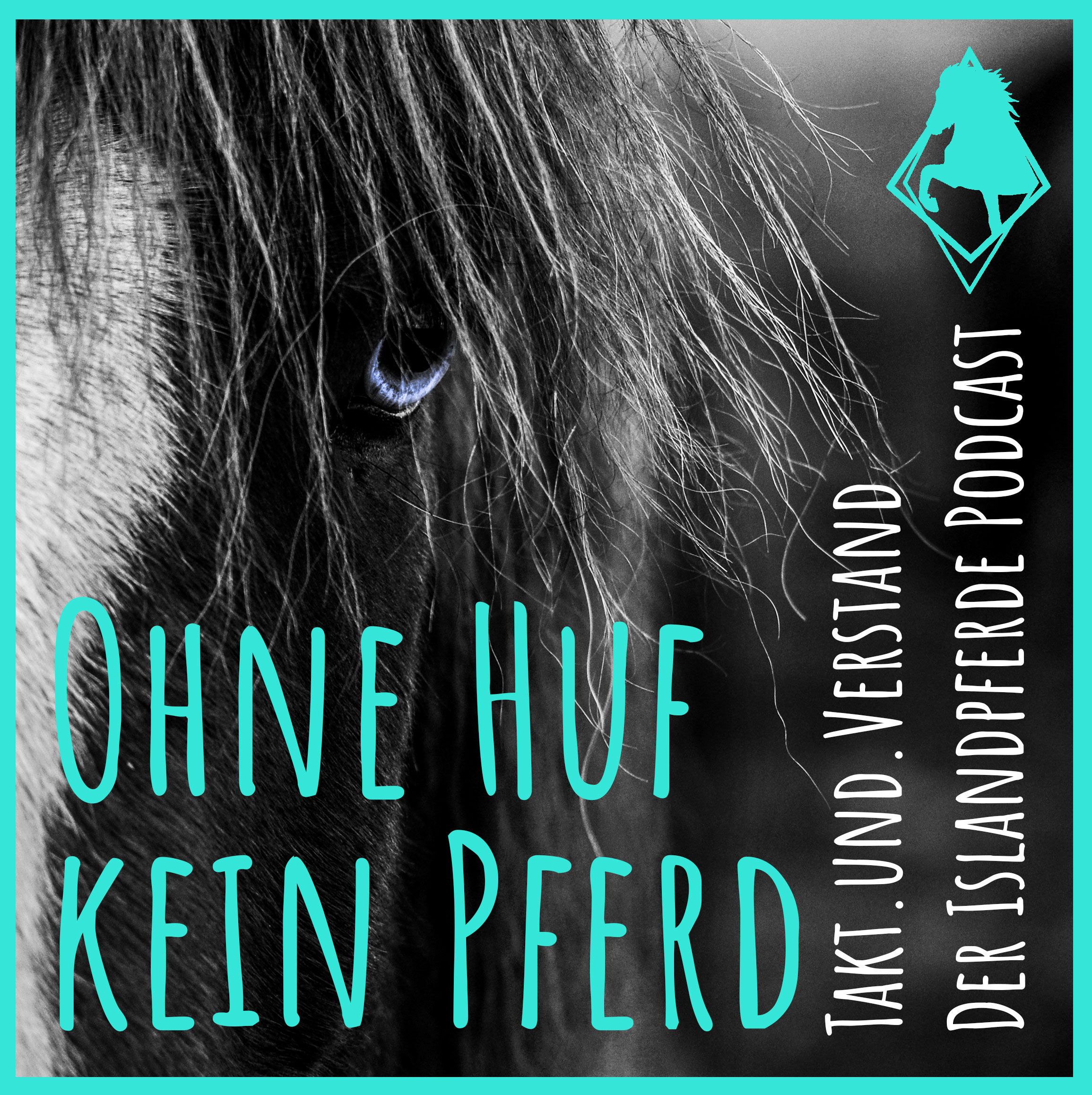Takt und Verstand - der Islandpferde Podcast