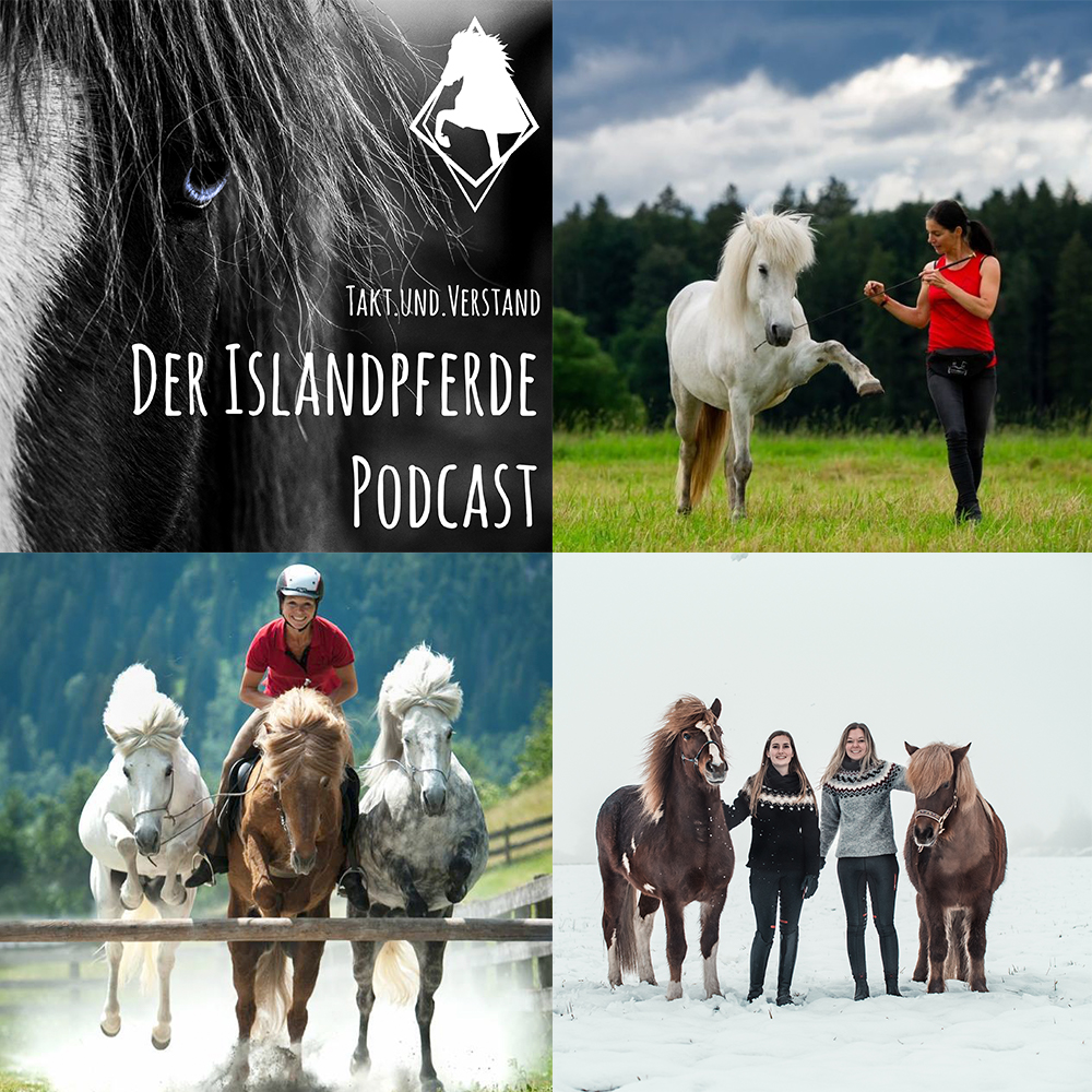 Takt und Verstand - der Islandpferde Podcast