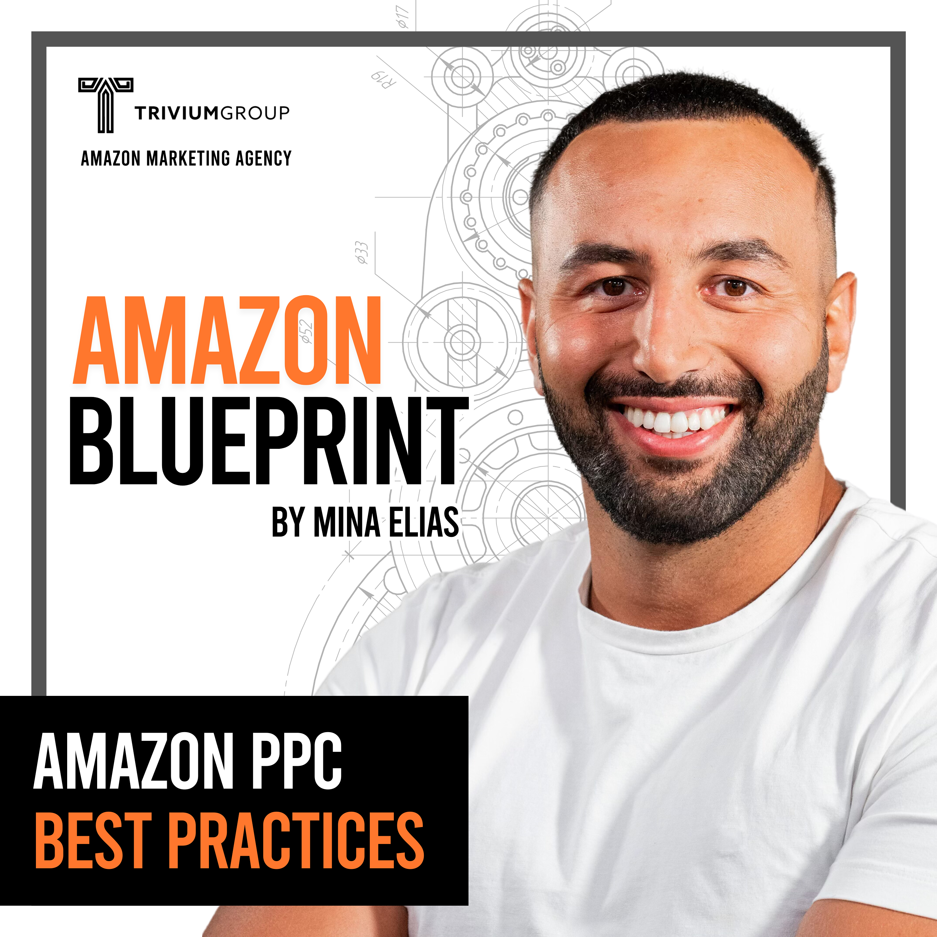 The Amazon Blueprint