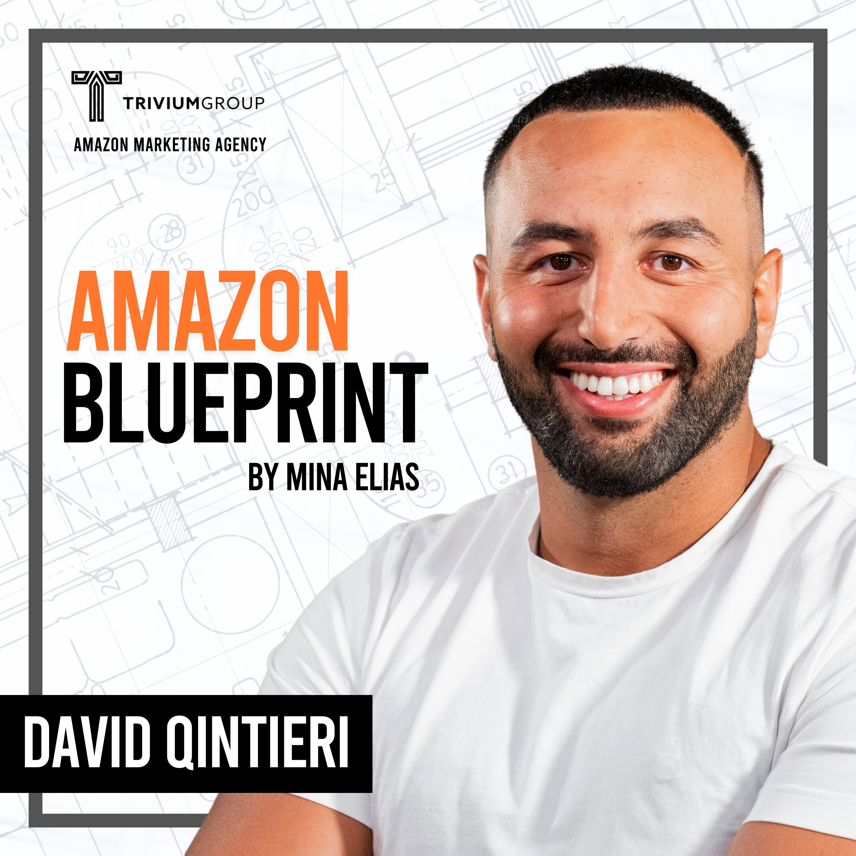 From YouTuber to Amazon Success Story: David Quinteri's Playbook