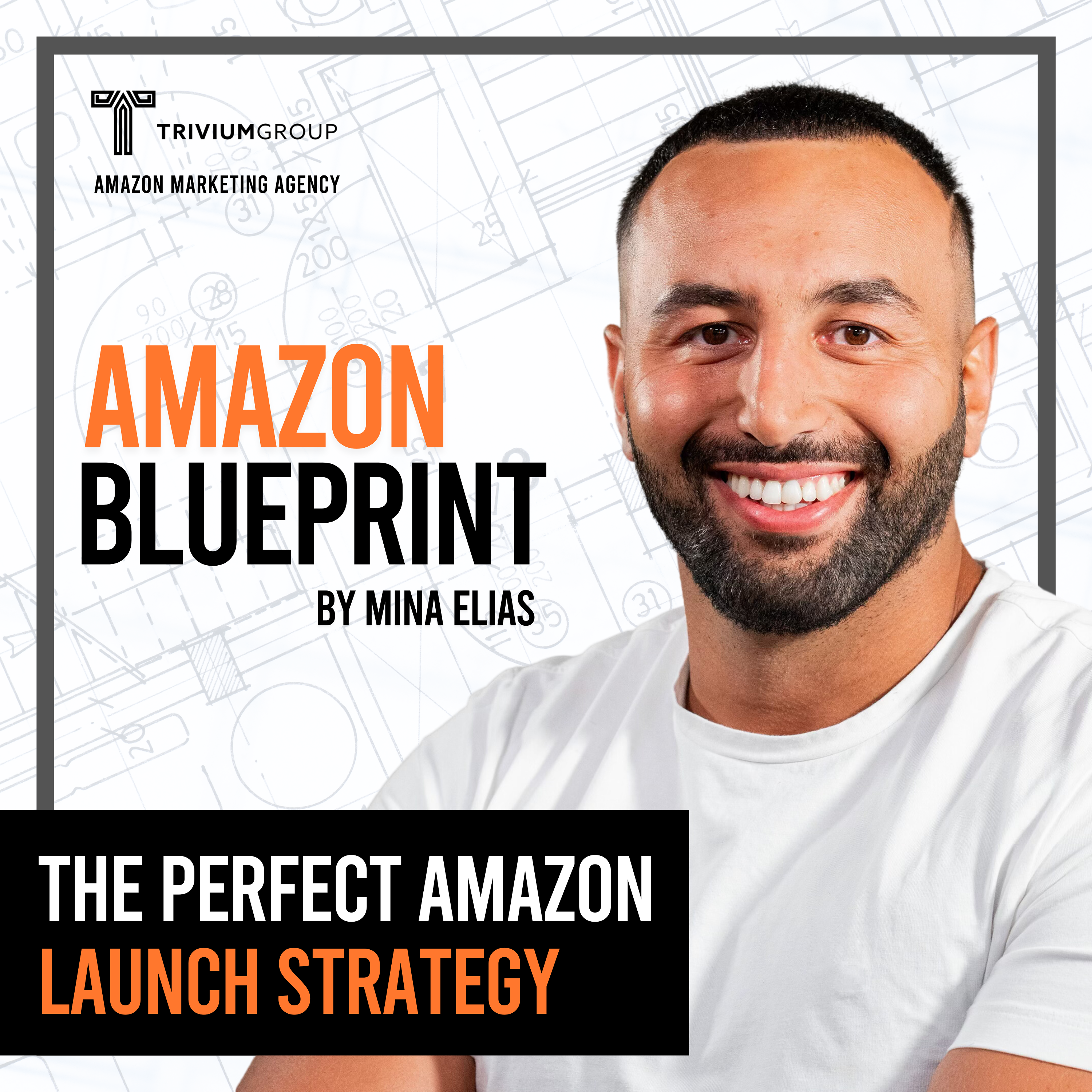 The Amazon Blueprint