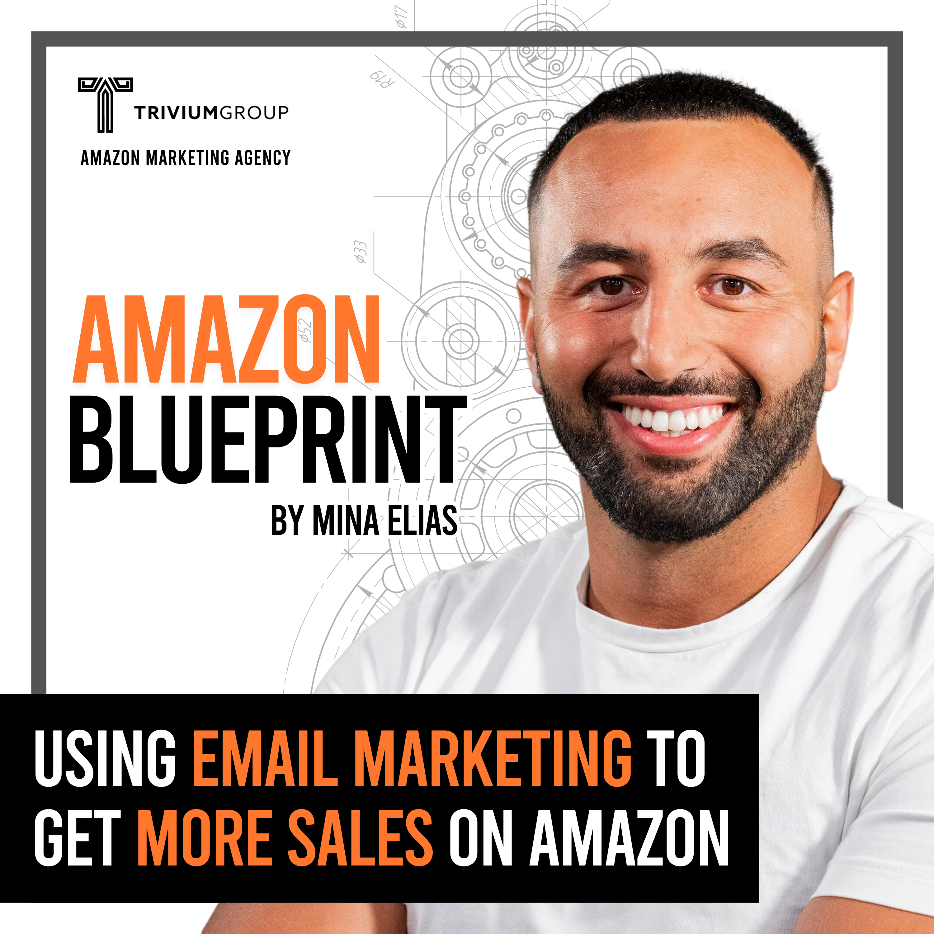 The Amazon Blueprint