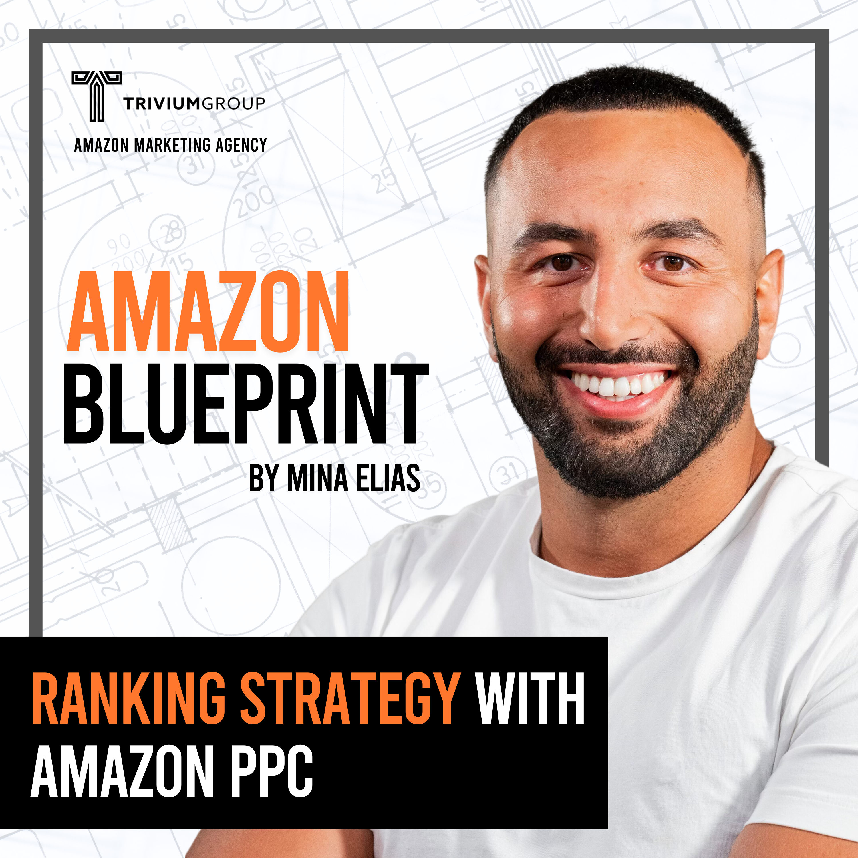 The Amazon Blueprint