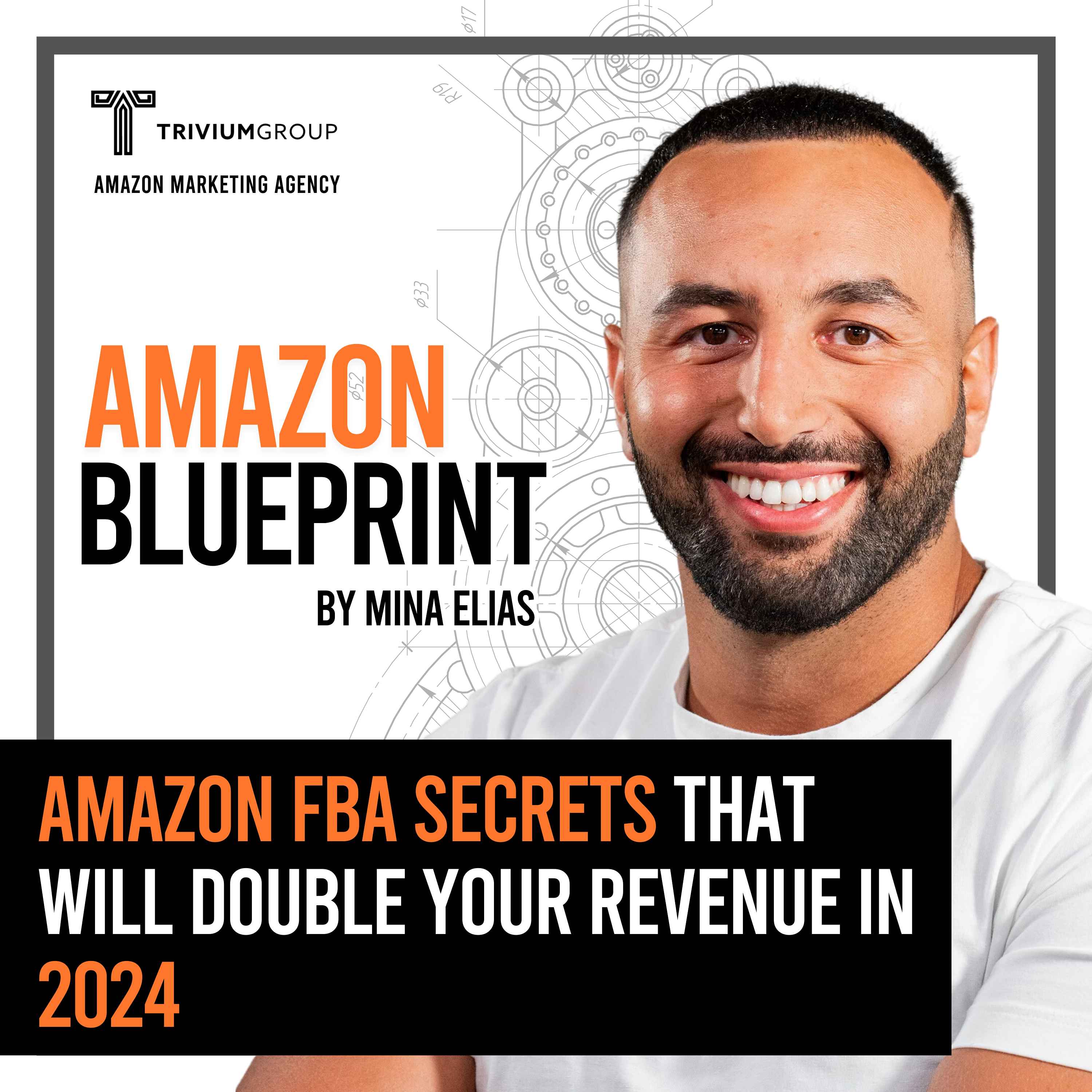 The Amazon Blueprint