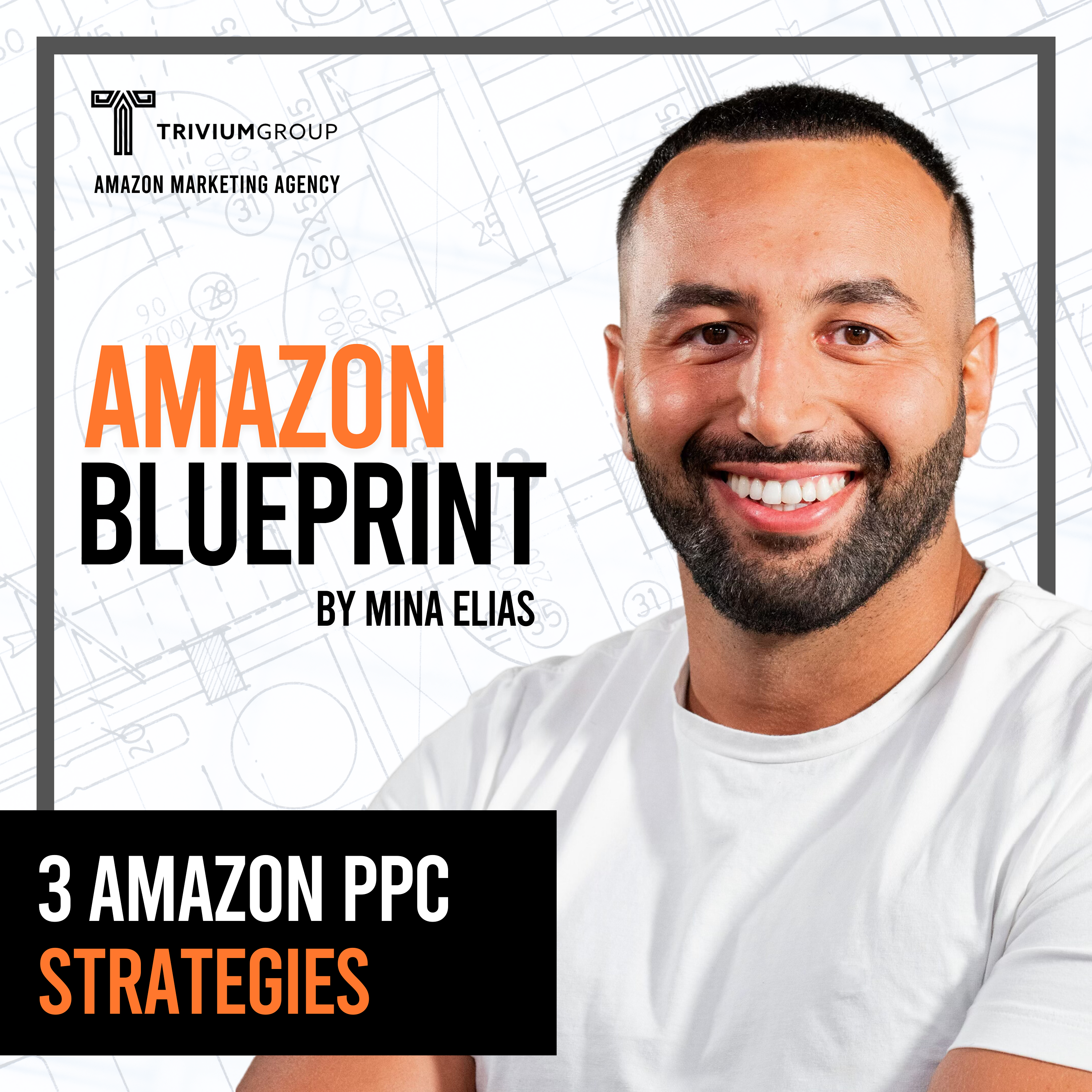 The Amazon Blueprint