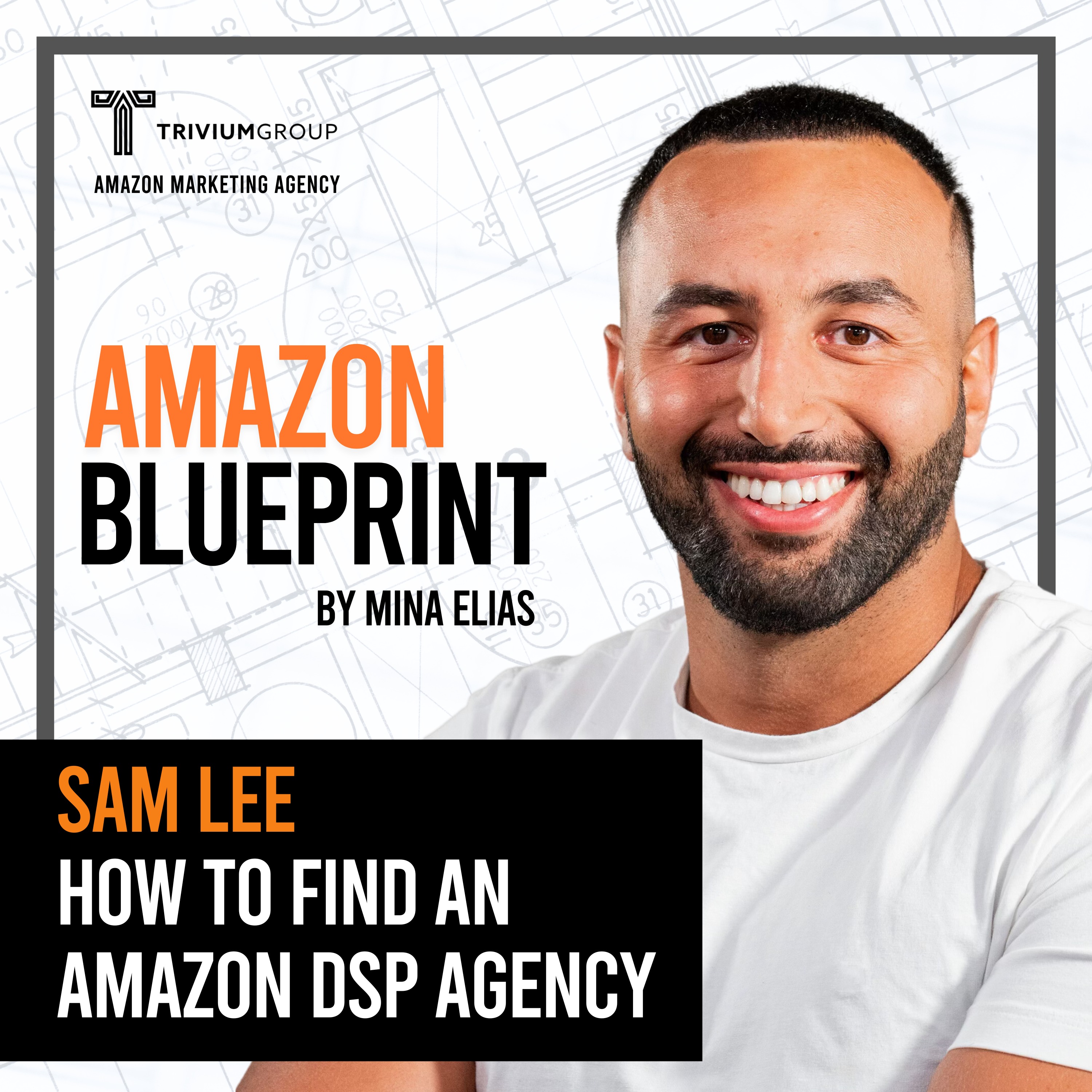 DON'T hire an Amazon DSP Agency until you listen to this…