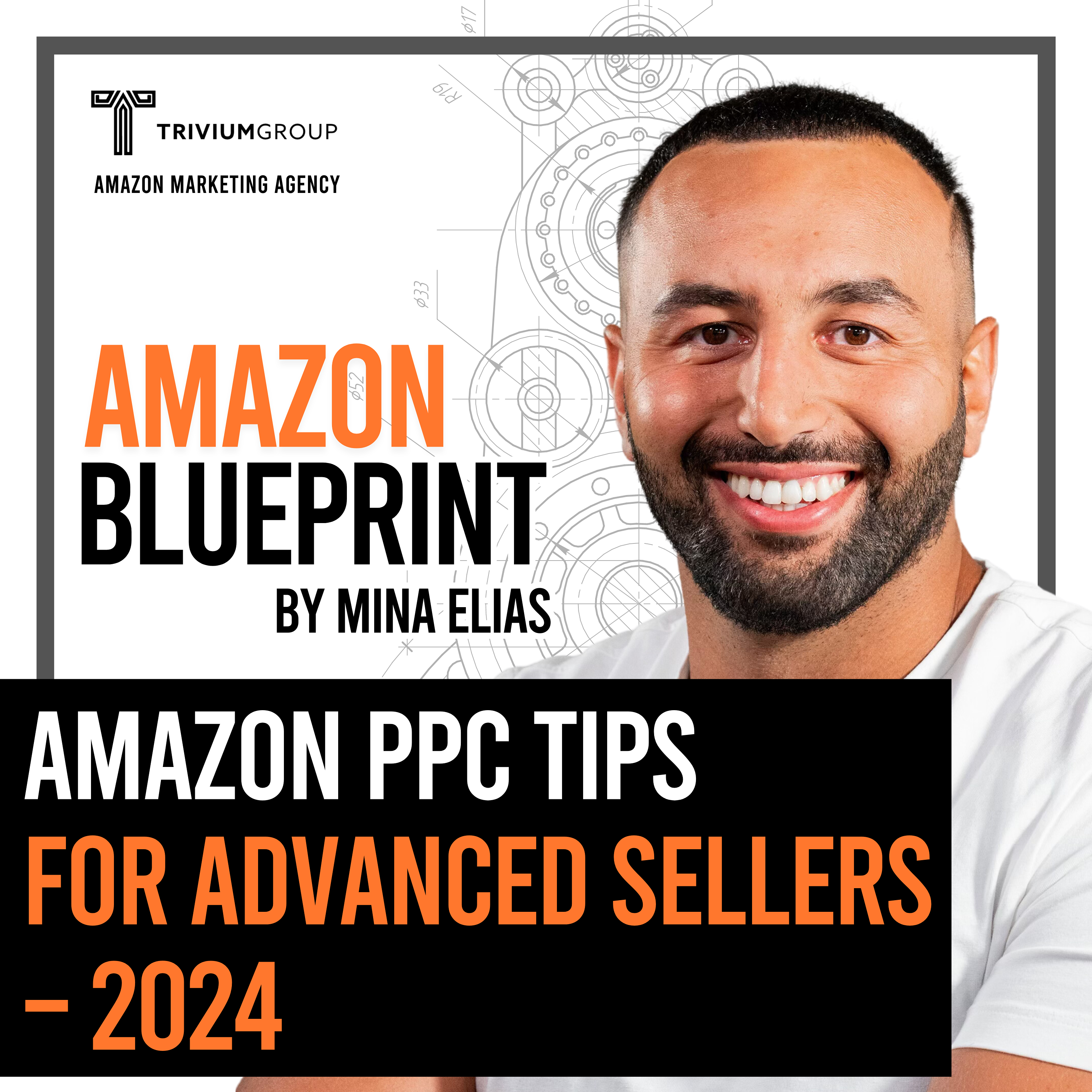The Amazon Blueprint