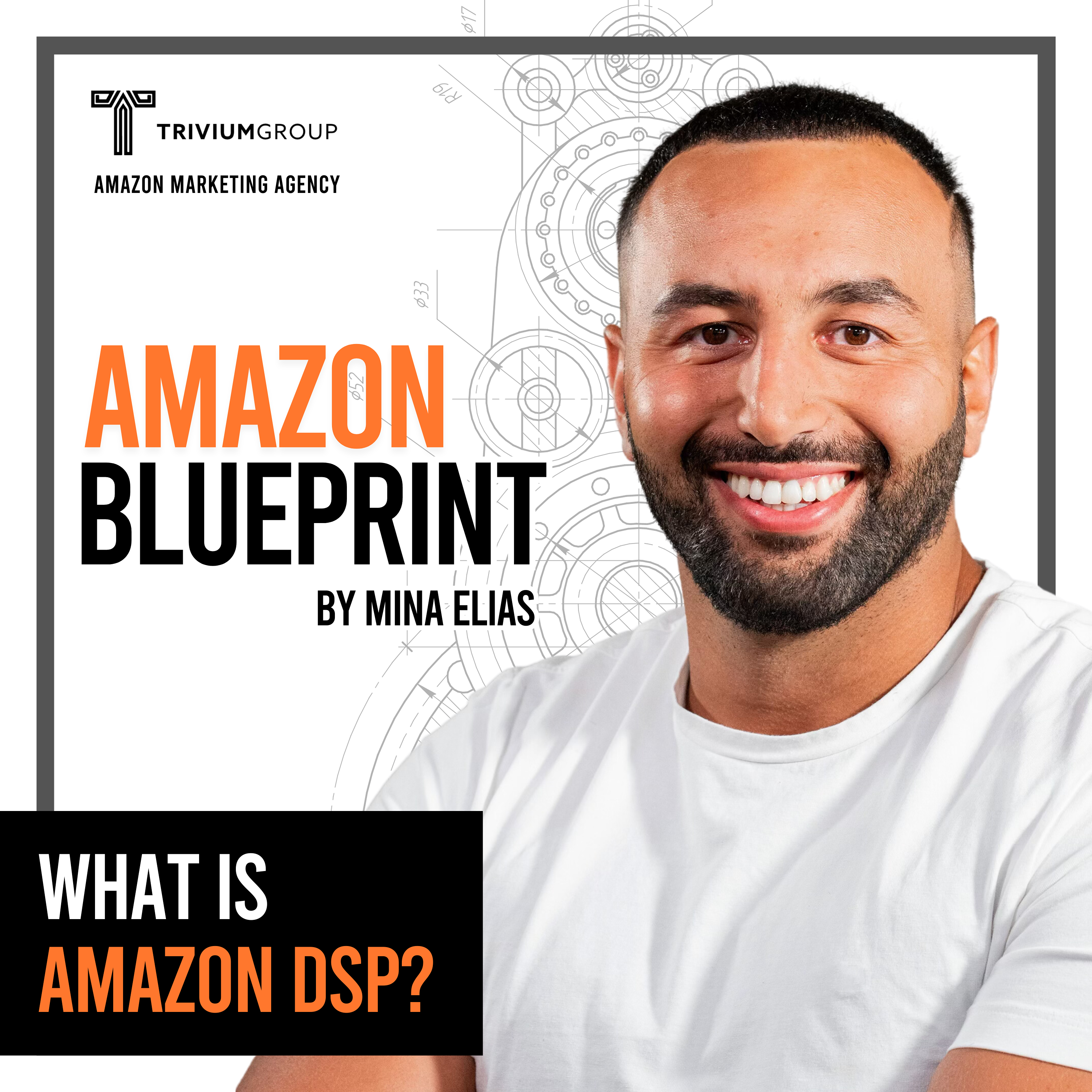 The Amazon Blueprint