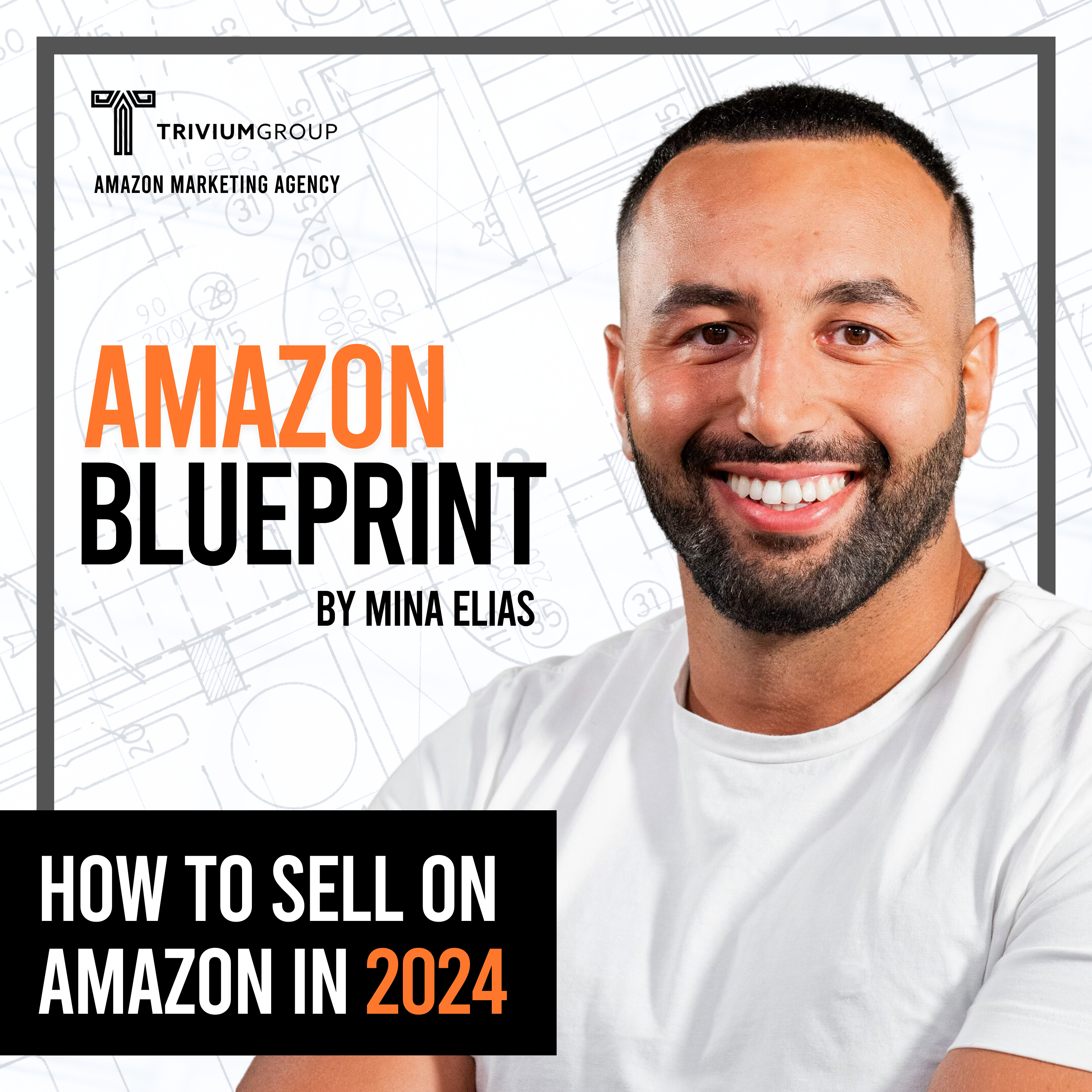 The Amazon Blueprint