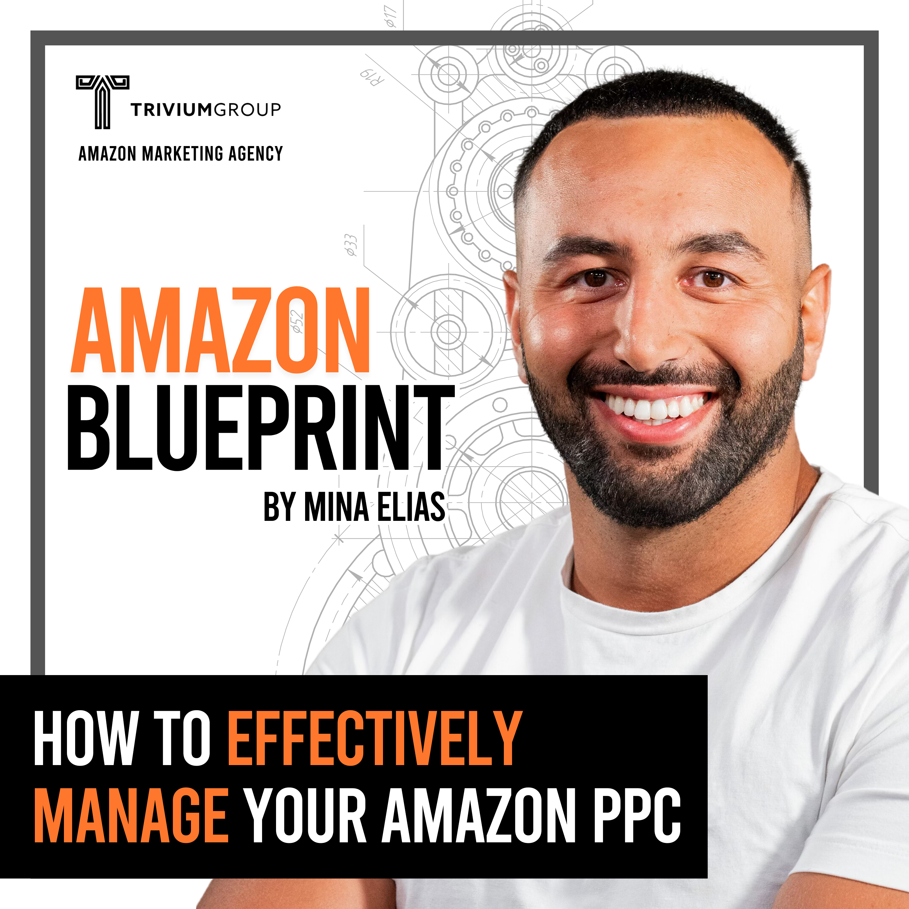 The Amazon Blueprint