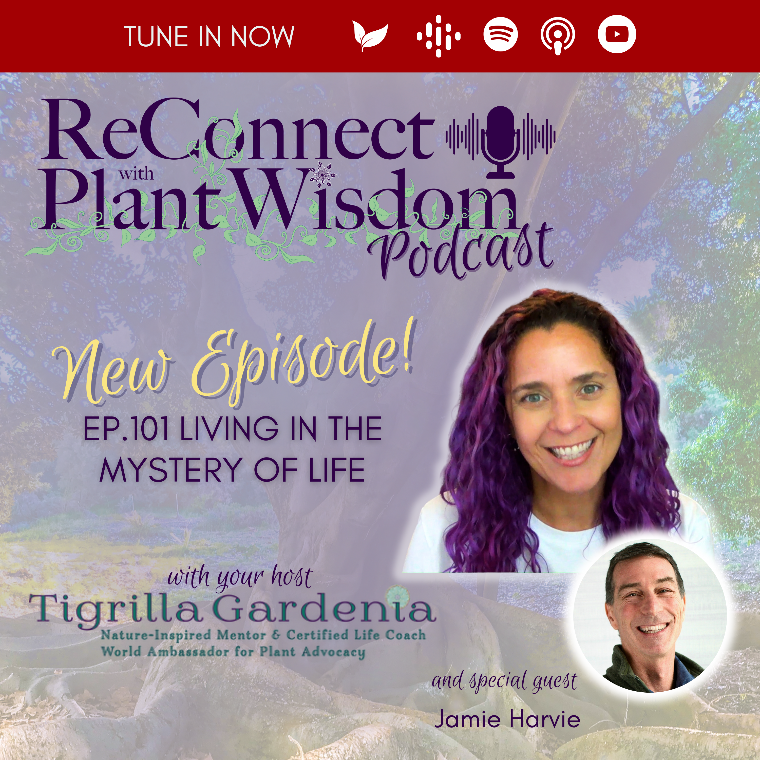 ReConnect with Plant Wisdom