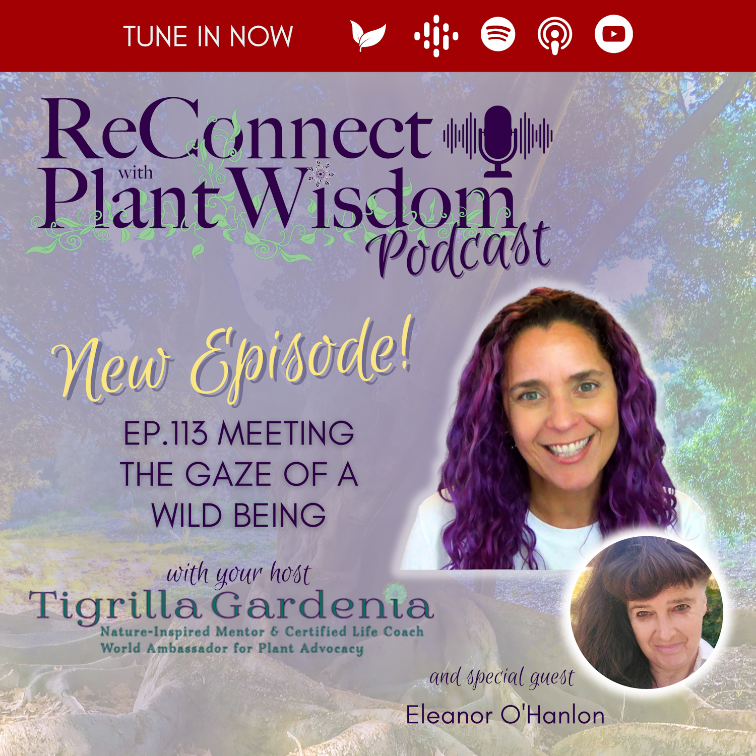 ReConnect with Plant Wisdom