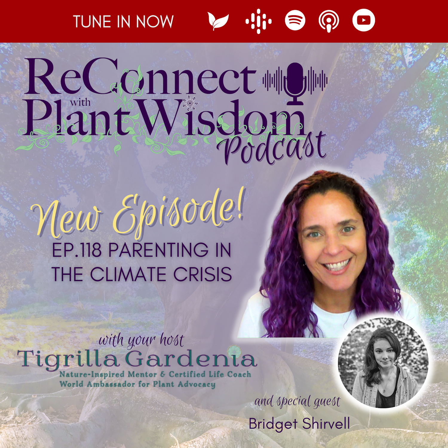 ReConnect with Plant Wisdom