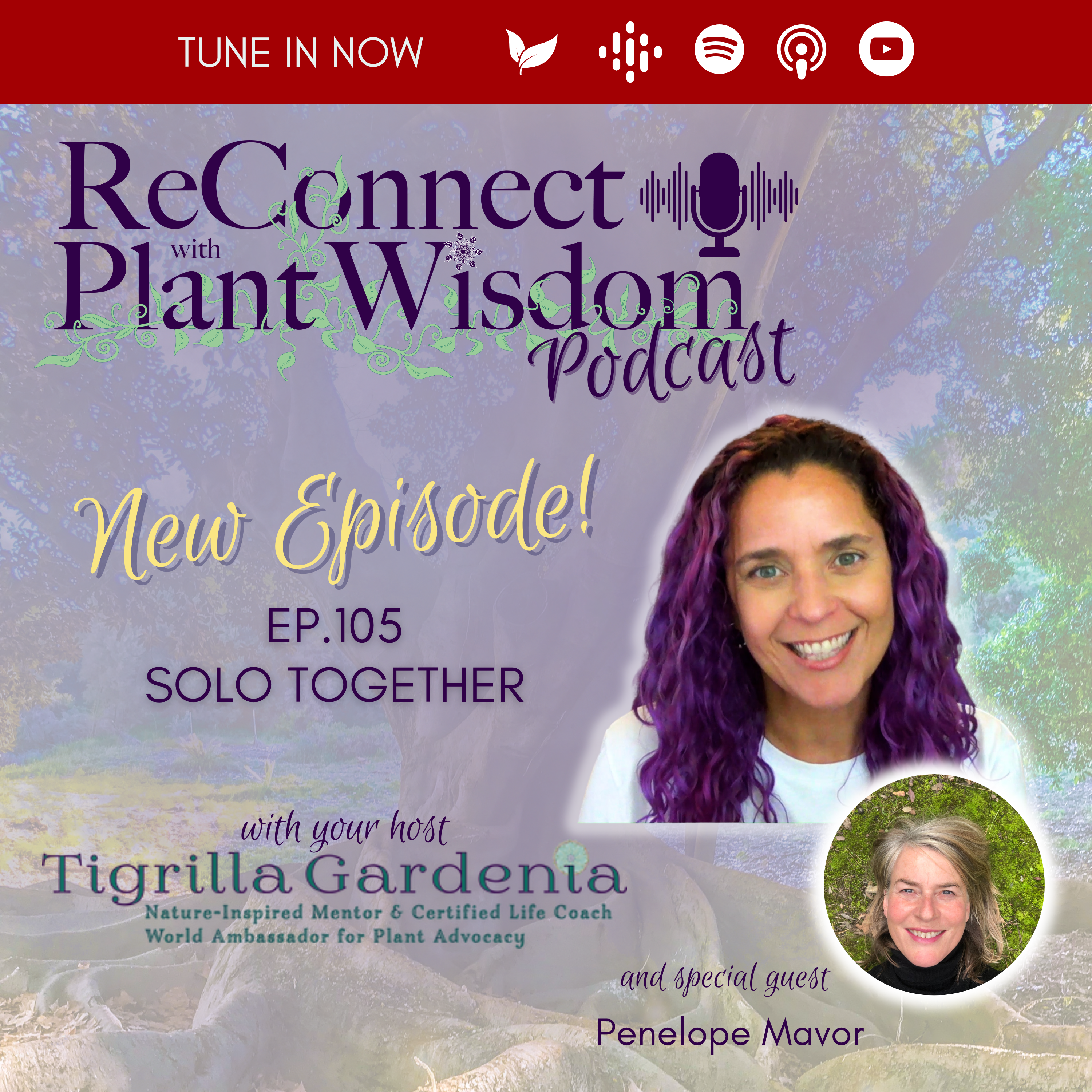 ReConnect with Plant Wisdom