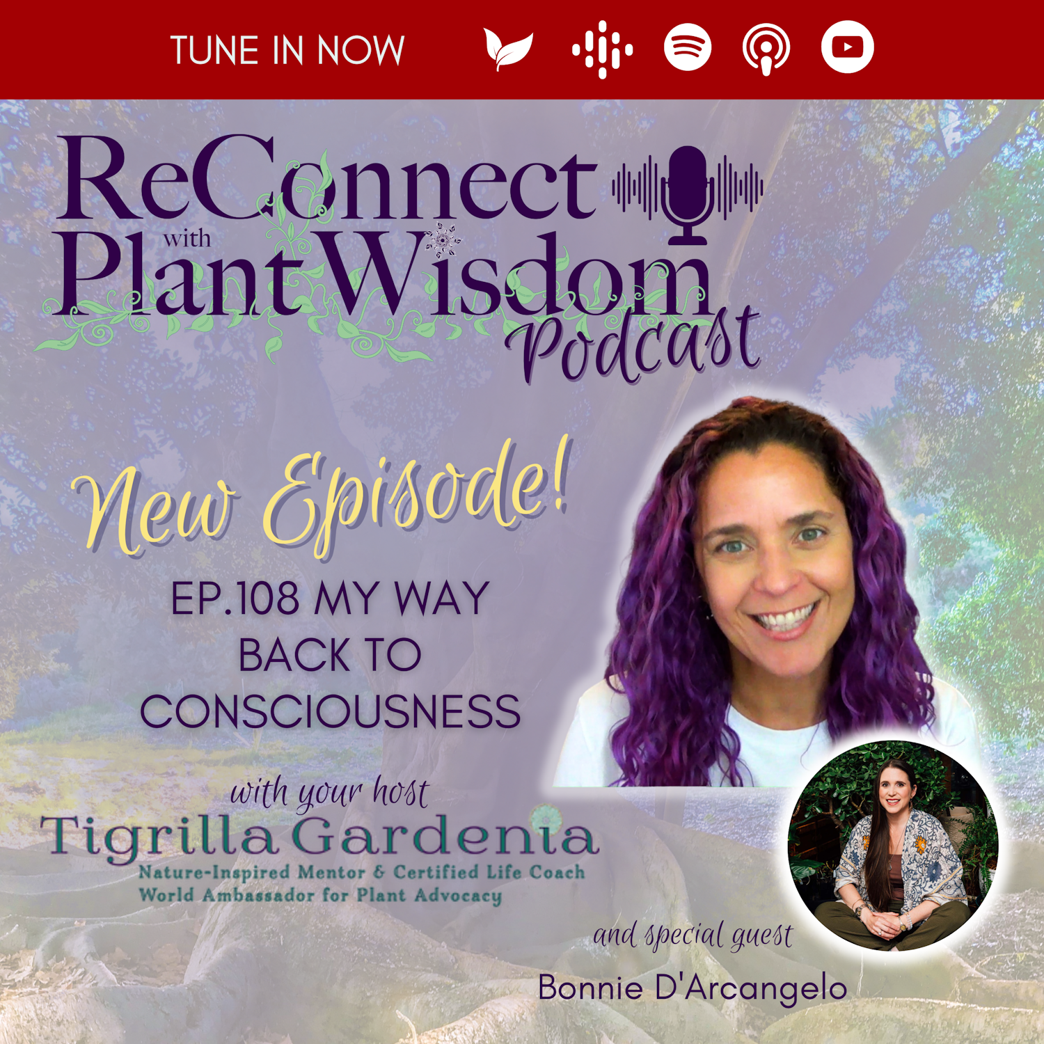 ReConnect with Plant Wisdom