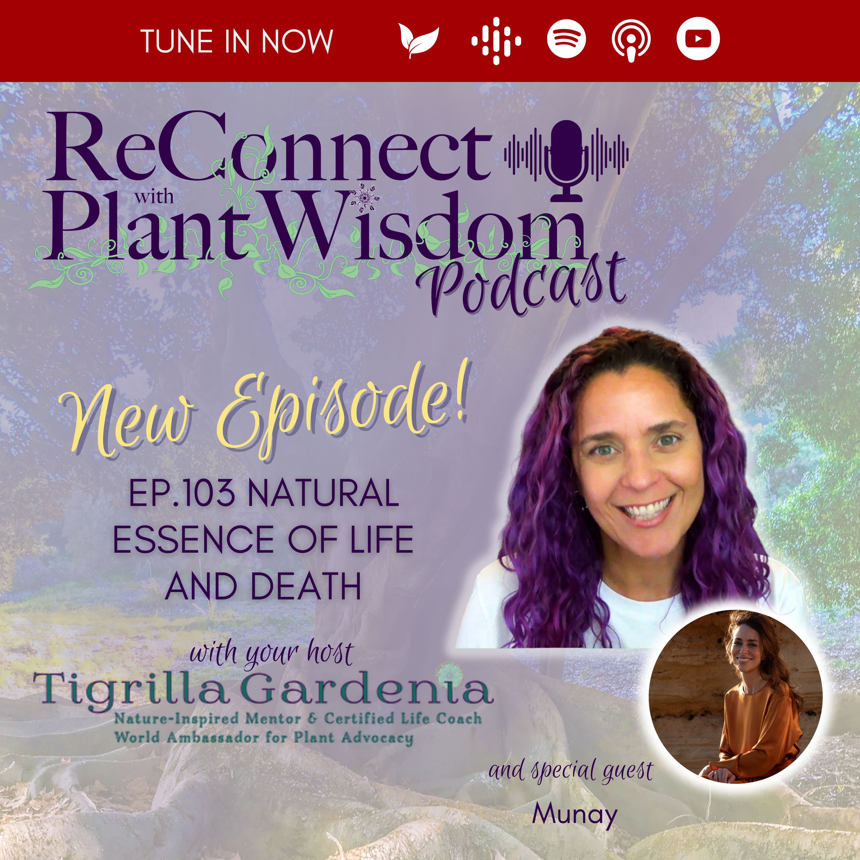 ReConnect with Plant Wisdom
