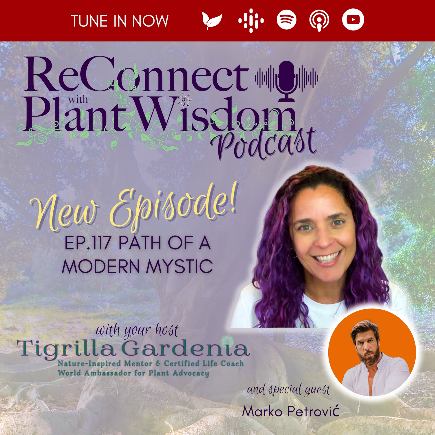 ReConnect with Plant Wisdom