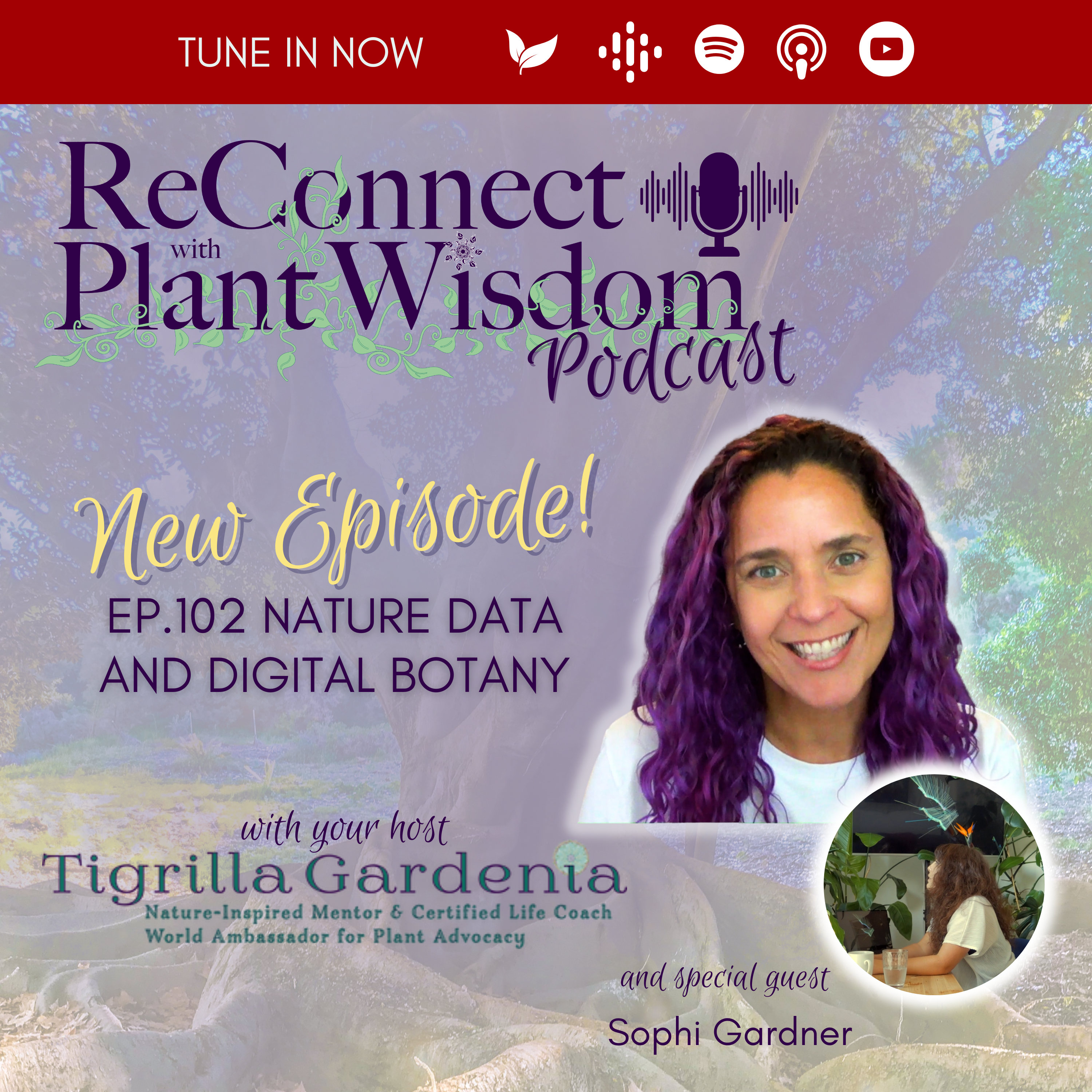 ReConnect with Plant Wisdom