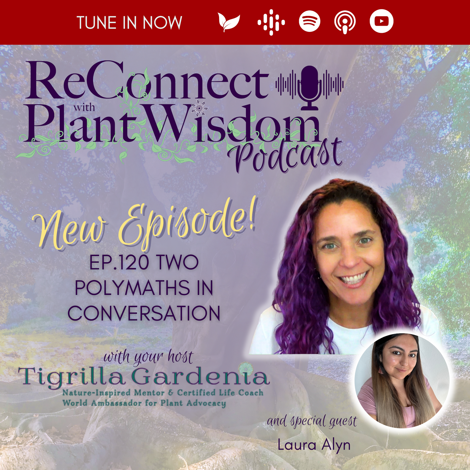 ReConnect with Plant Wisdom