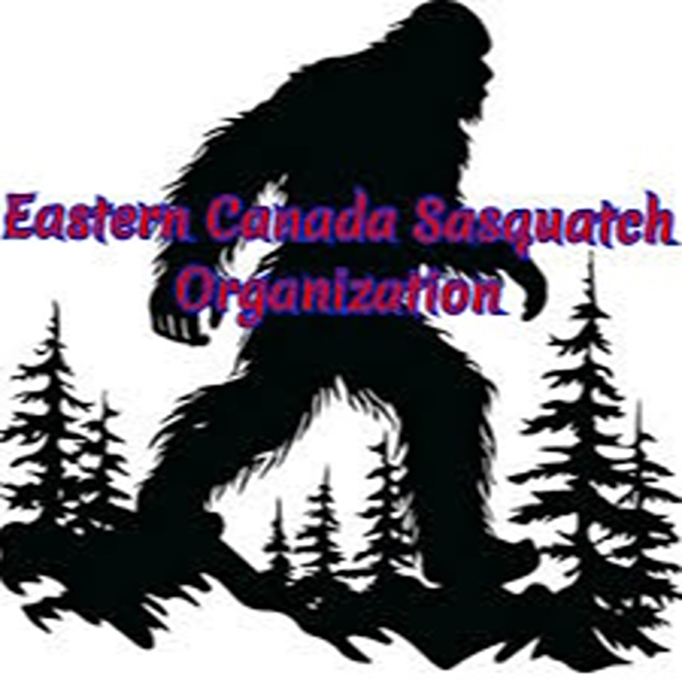 S2 E11 Sabine Blais – Eastern Canada Sasquatch Organization