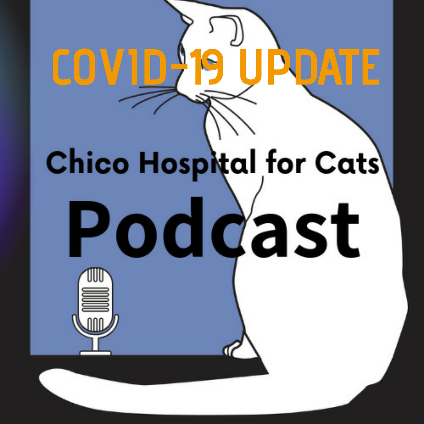 #32 COVID19 Update w/ Dr. Colleran