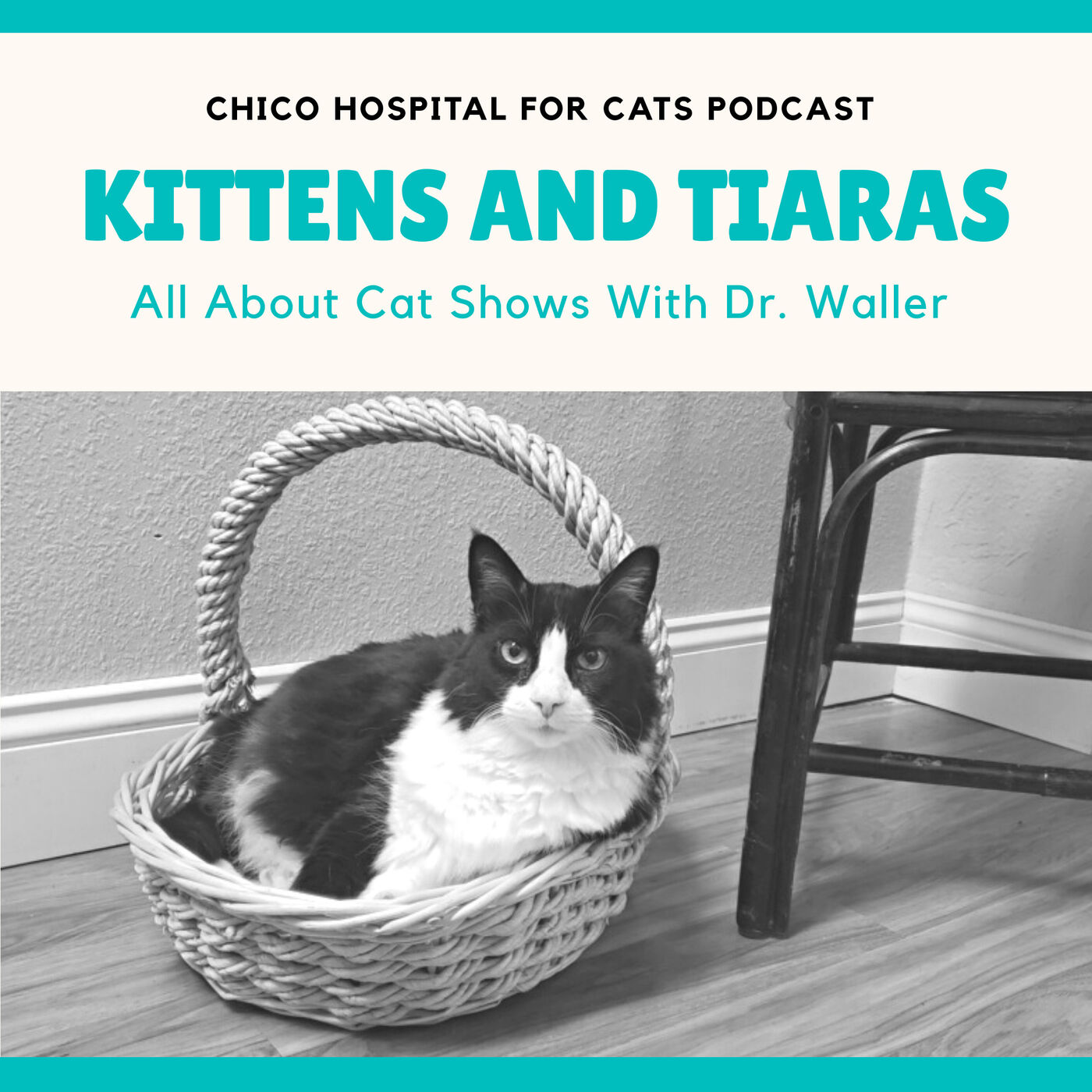 #31 Kittens and Tiaras - All About Cat Shows w/ Dr. Waller